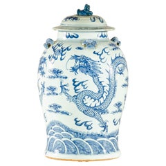 Qing Dynasty Blue and White Porcelain Dragon Jar with Lid and Foo Dog Finial