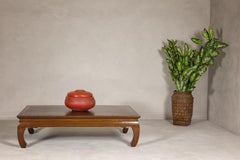 Qing Dynasty Long and Low Kang Coffee Table with Chow Legs and Carved Apron