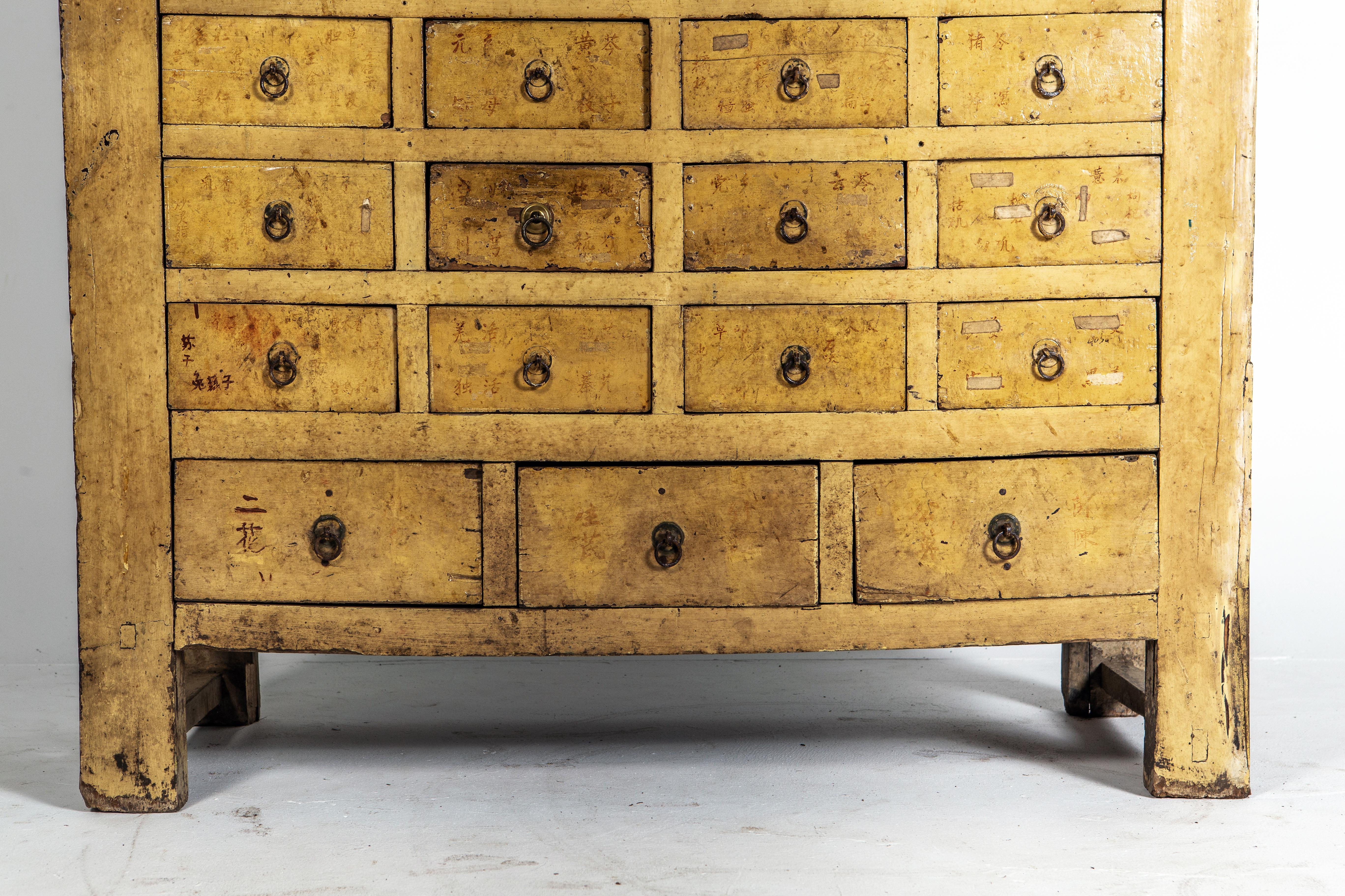 Chinese Qing Dynasty Medicine Cabinet with 35 Drawers