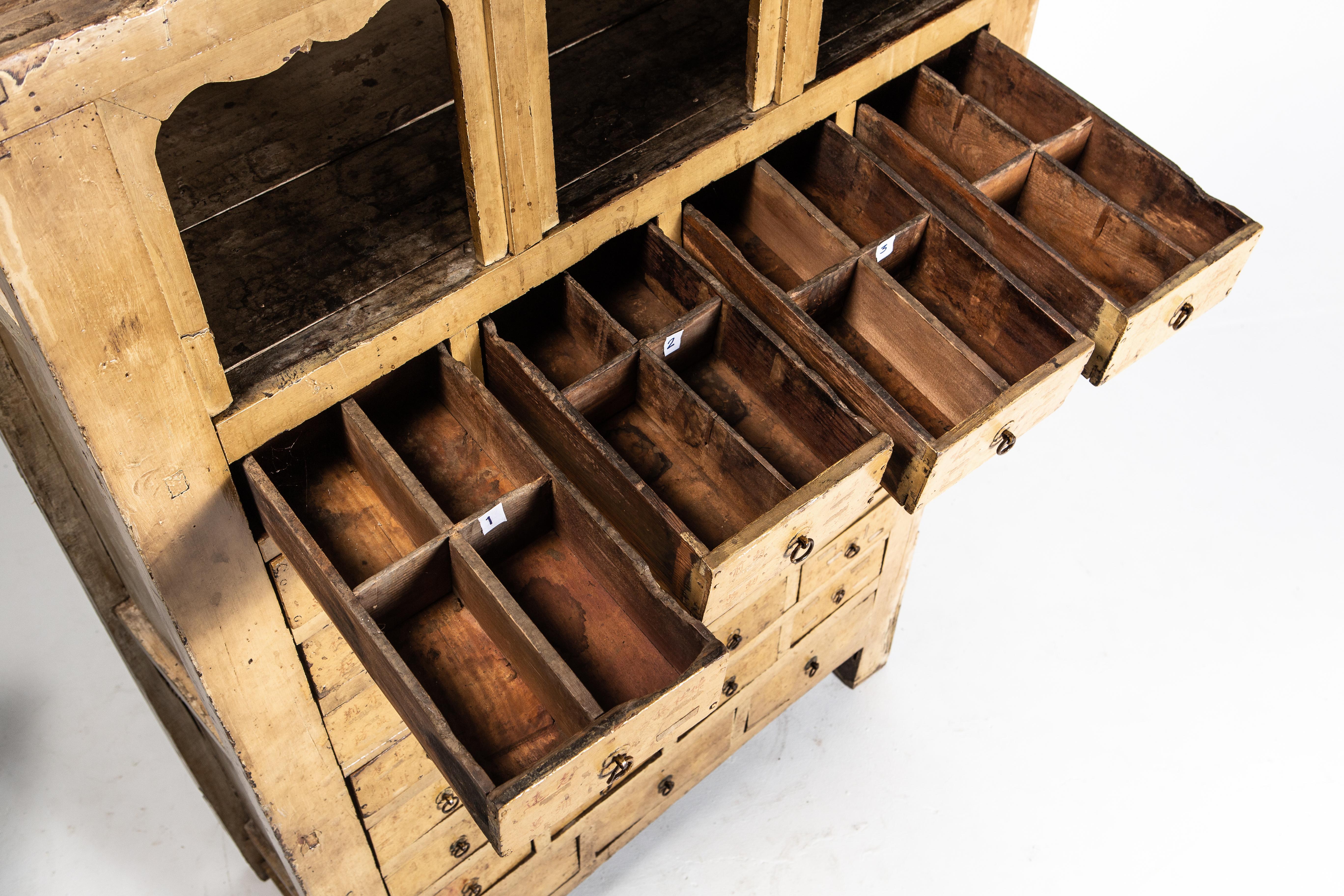 Elm Qing Dynasty Medicine Cabinet with 35 Drawers