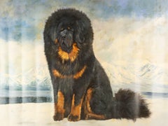Qingyuan Liang Animal Original Oil On Canvas "Tibetan Mastiff"