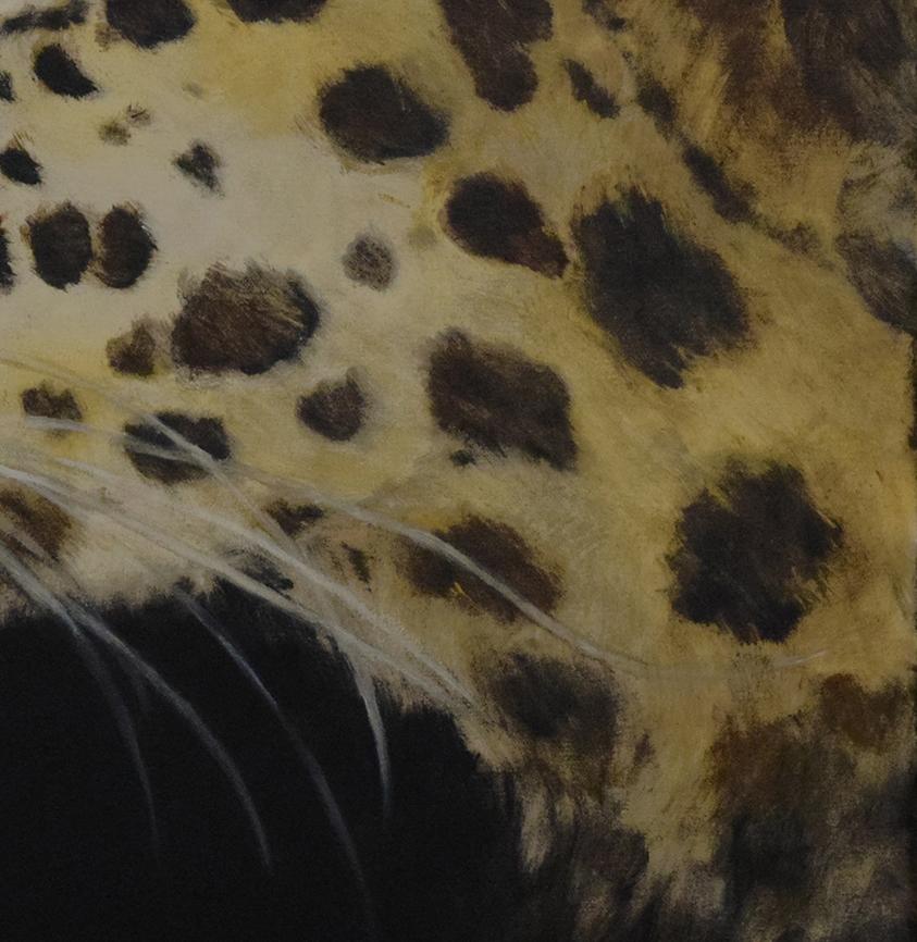 Intuición - 21st Century, Contemporary, Figurative Oil Painting, Leopard, Animal - Black Figurative Painting by QK (Cuca)