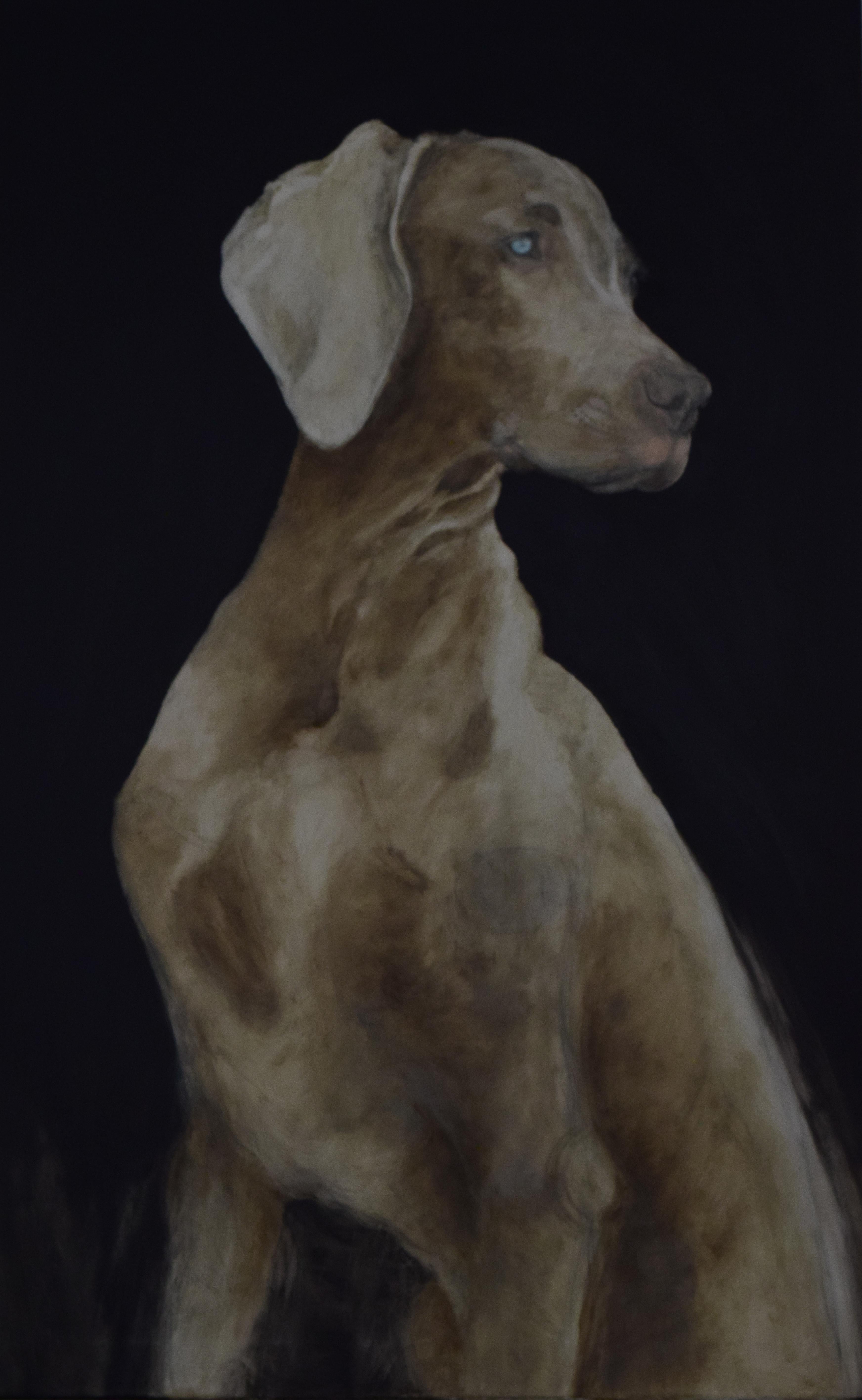 QK (Cuca) Animal Painting - Sir Velvet De Weimer - 21st Century, Contemporary, Figurative Oil Painting, Dog