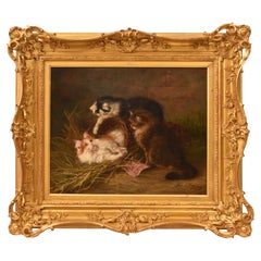 Tableaux anciens représentant trois chats, huile sur toile, fin du XIXe siècle
