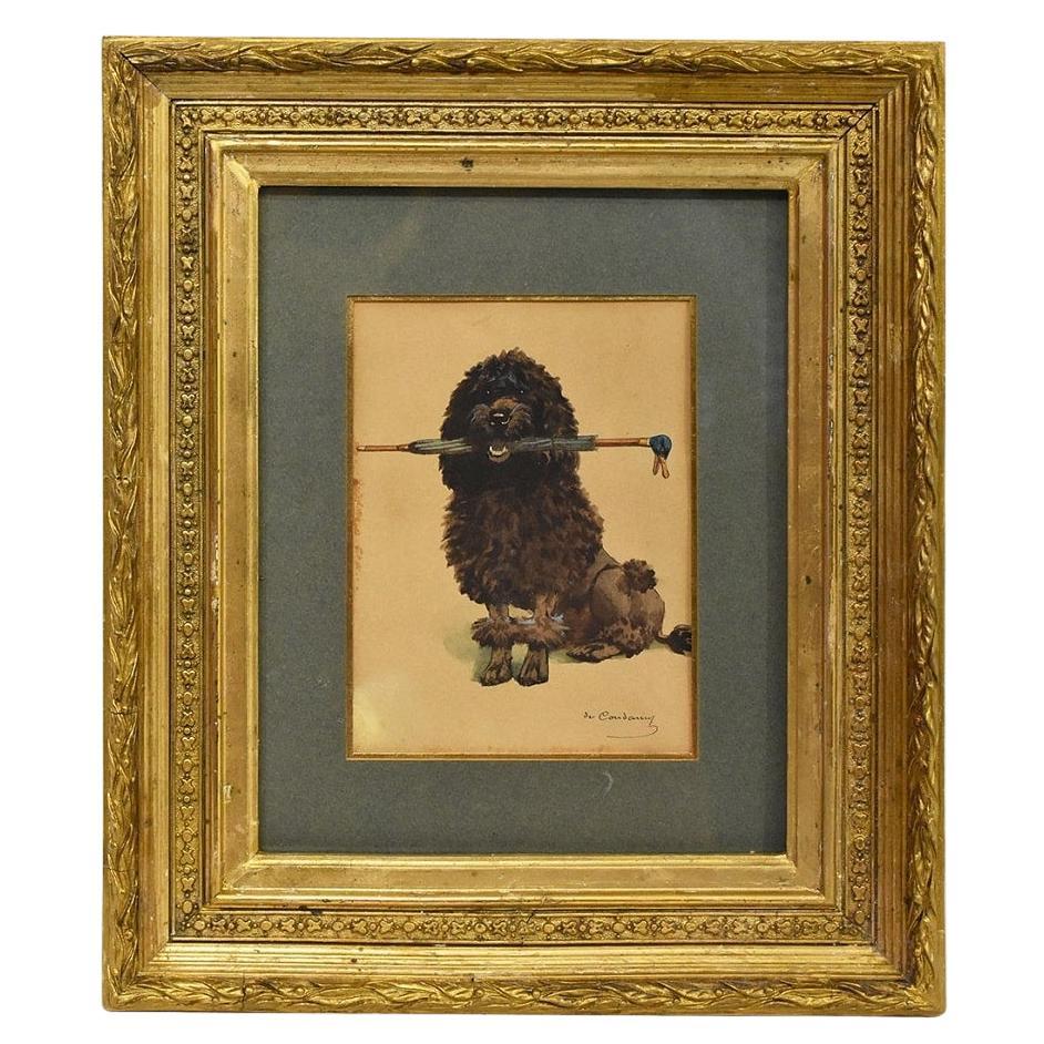 Antique Paintings Portraits Of Dogs, Watercolor On Paper, Black Poodle, Late 19th.