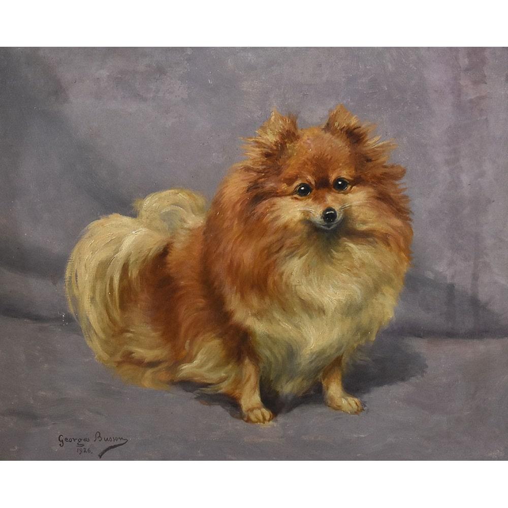 La categoria Quadri Antichi Ritratti di Cani propone una pittura ad olio su tela con il ritratto di un cane di Razza Pomerania

o Spitz tedesco nano, che prende il nome dalla regione europea della Pomerania da dove provengono, epoca Novecento. 

Si