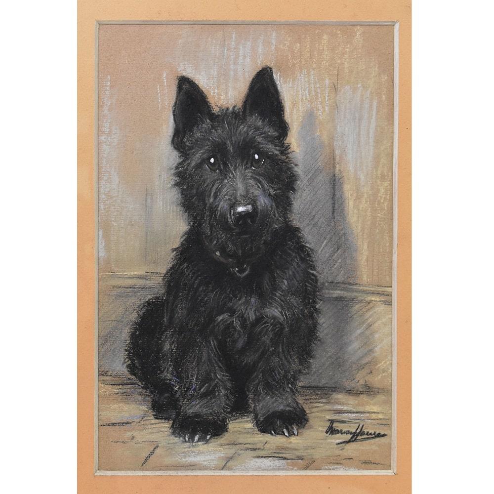 Die Kategorie Alte Hundeporträts enthält ein kleines Gemälde, ein Pastell auf Papier mit
das Porträt eines schwarzen Spaniels, 20. Jahrhundert. Englische Schule des 20. Jahrhunderts

Es ist ein schönes Porträt eines kleinen Hundes.
Das antike