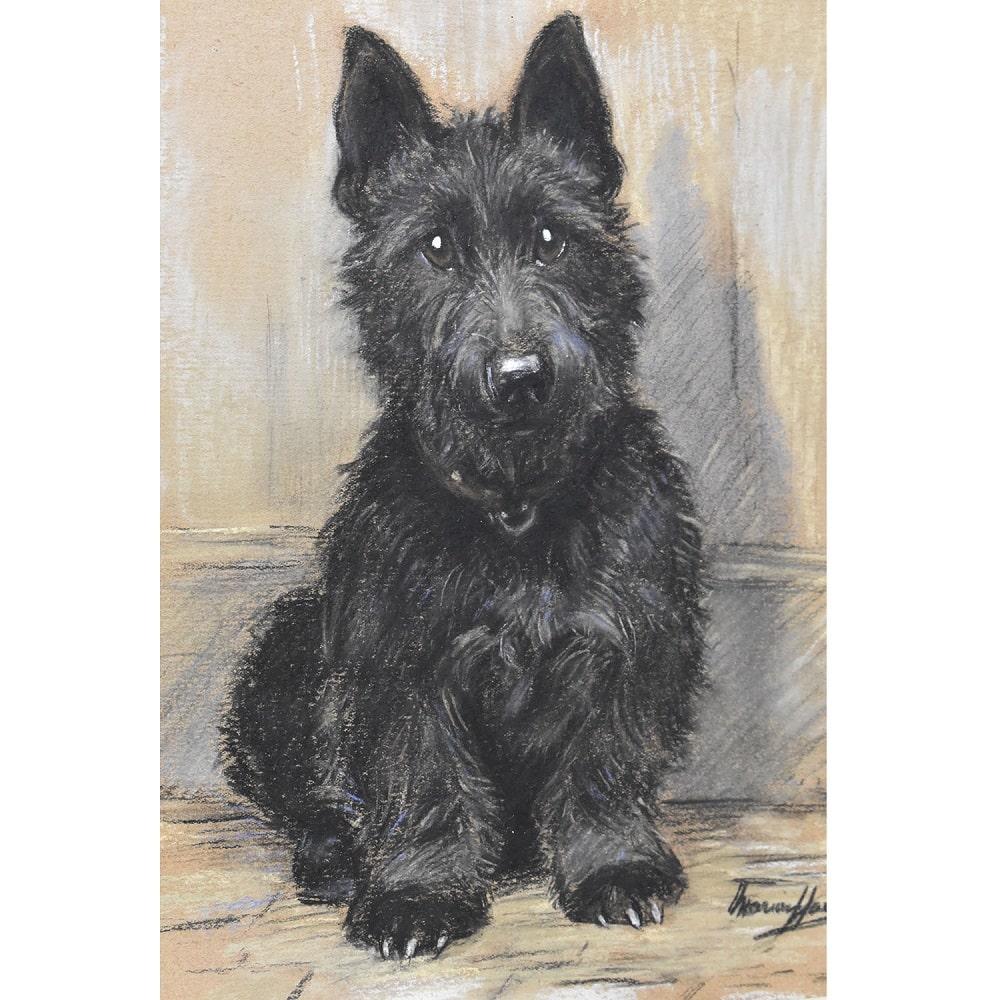 Art Deco Antique Paintings, Portrait of a Dog, Black Spaniel, Pastel On Paper, 20th century. For Sale