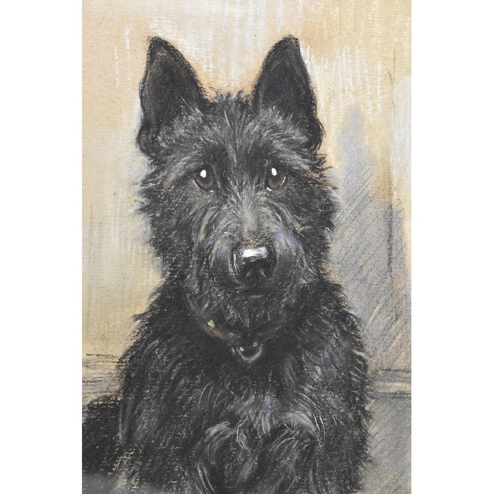 English Antique Paintings, Portrait of a Dog, Black Spaniel, Pastel On Paper, 20th century. For Sale