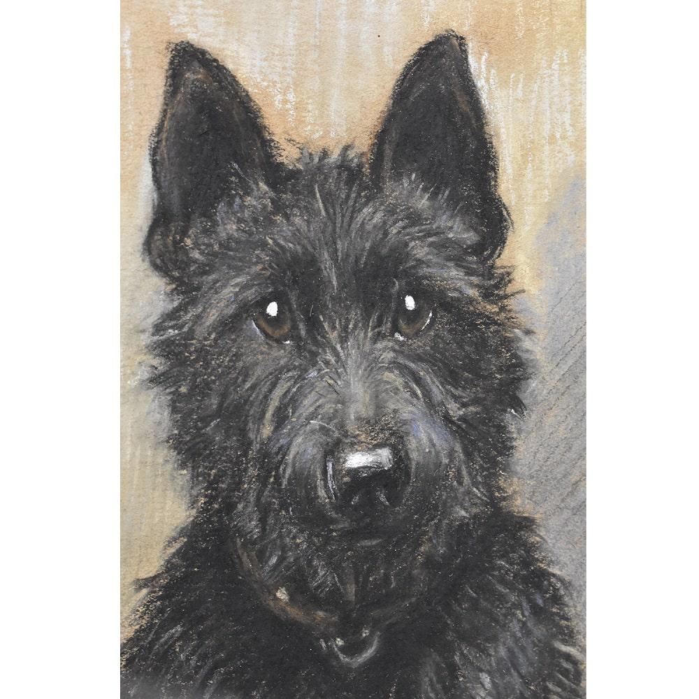 English Antique Paintings, Portrait of a Dog, Black Spaniel, Pastel On Paper, 20th century. For Sale