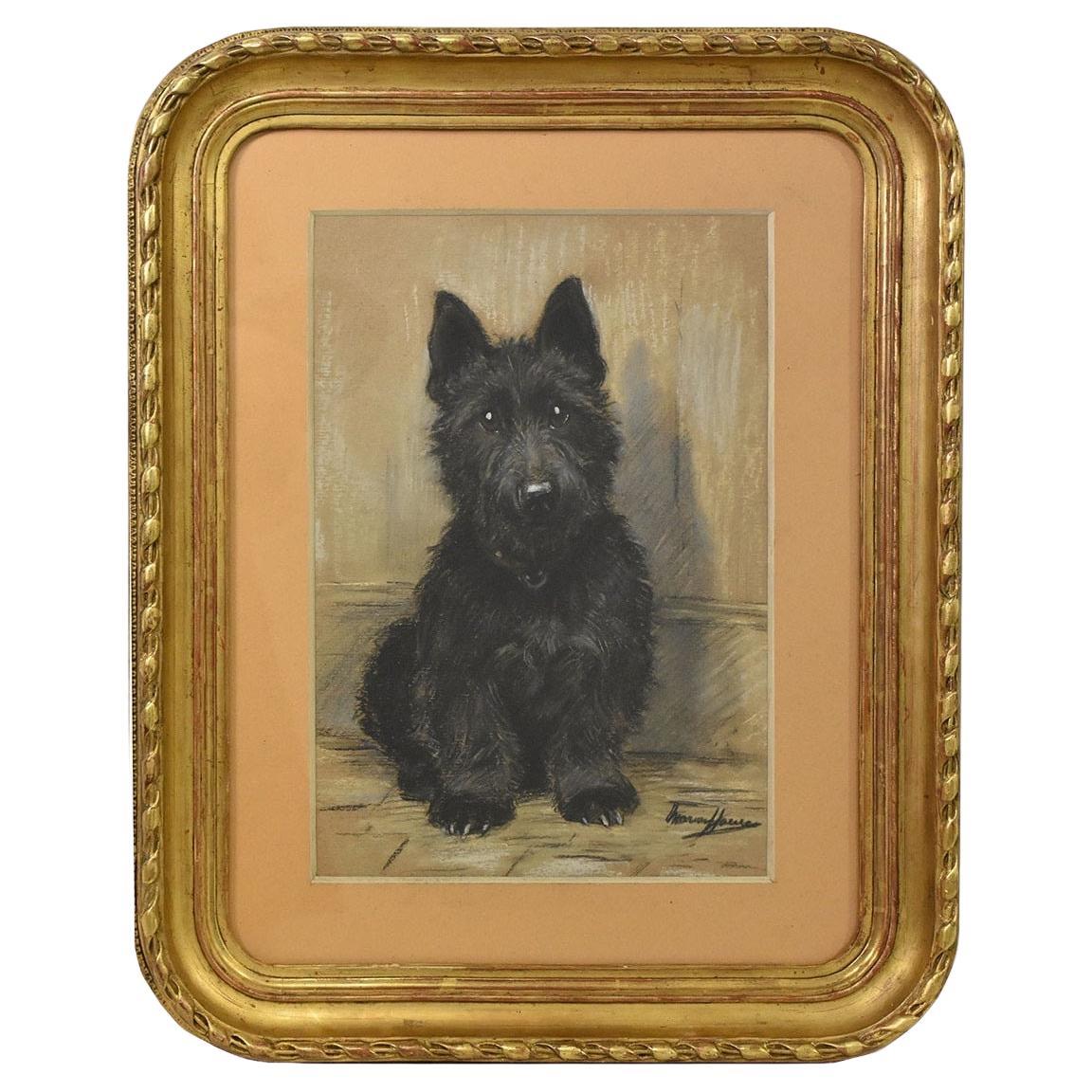 Tableaux de maîtres anciens, Portrait d'un chien, épagneul noir, pastel sur papier, 20e siècle. en vente