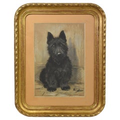Tableaux de maîtres anciens, Portrait d'un chien, épagneul noir, pastel sur papier, 20e siècle.
