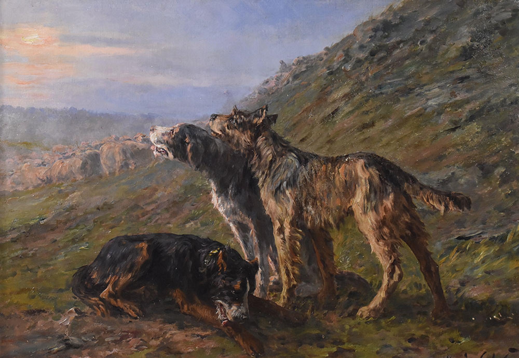 La catégorie Tableaux de Maîtres Anciens Portraits de Chiens propose une peinture à l'huile sur toile représentant trois chiens se reposant près d'un troupeau de moutons, époque début 20ème siècle

Le tableau ancien est signé en bas à droite par