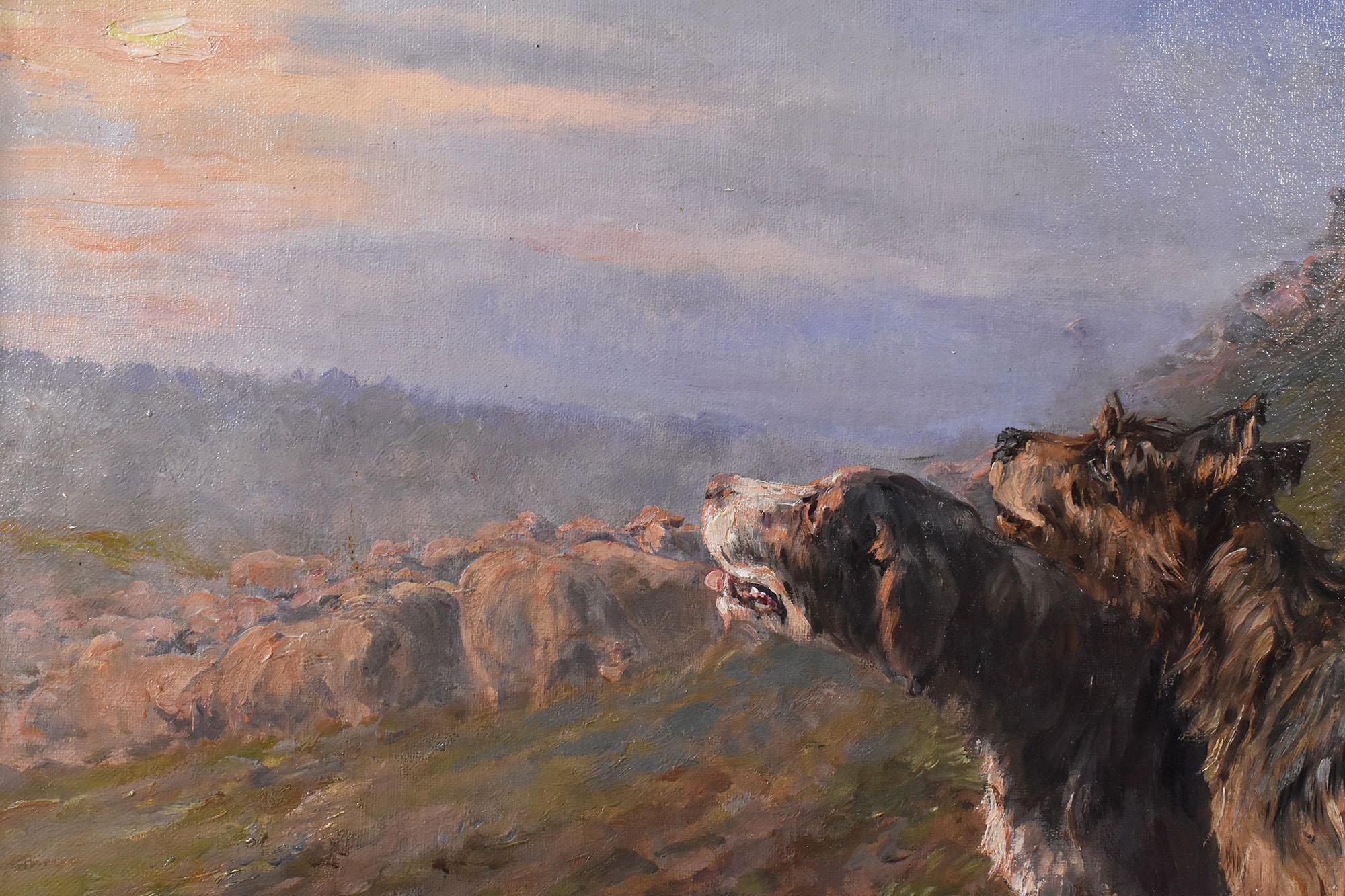 Peinture ancienne, portrait de chiens et d'un troupeau de moutons, huile sur toile, début du 20e siècle. Bon état - En vente à Breganze, VI