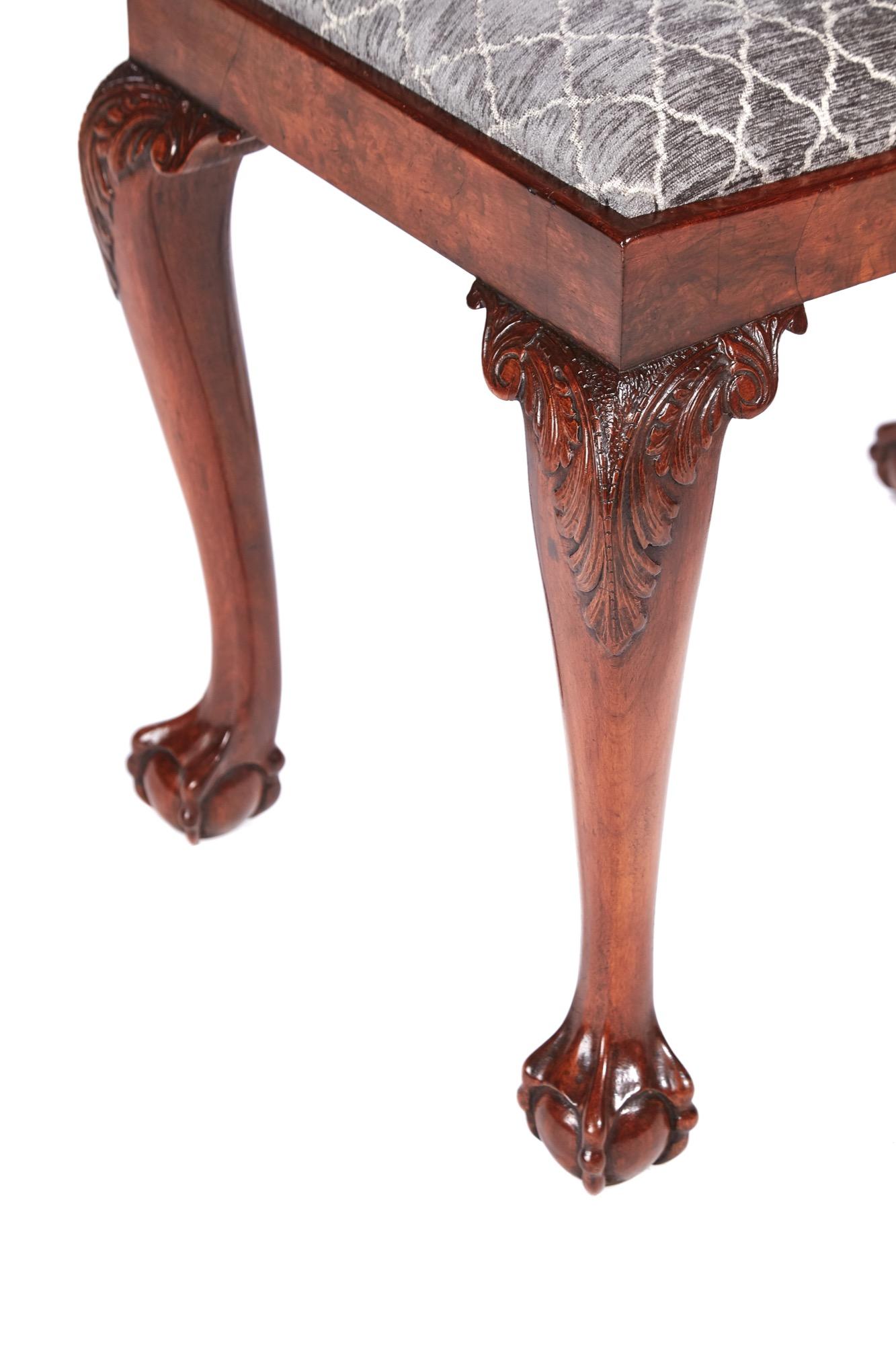Quality antique burr walnut carved stool having a newly recovered drop in seat, lovely burr walnut frieze standing on 4 shaped carved cabriole legs with claw and ball feet.
Lovely color and condition
Measures: 23