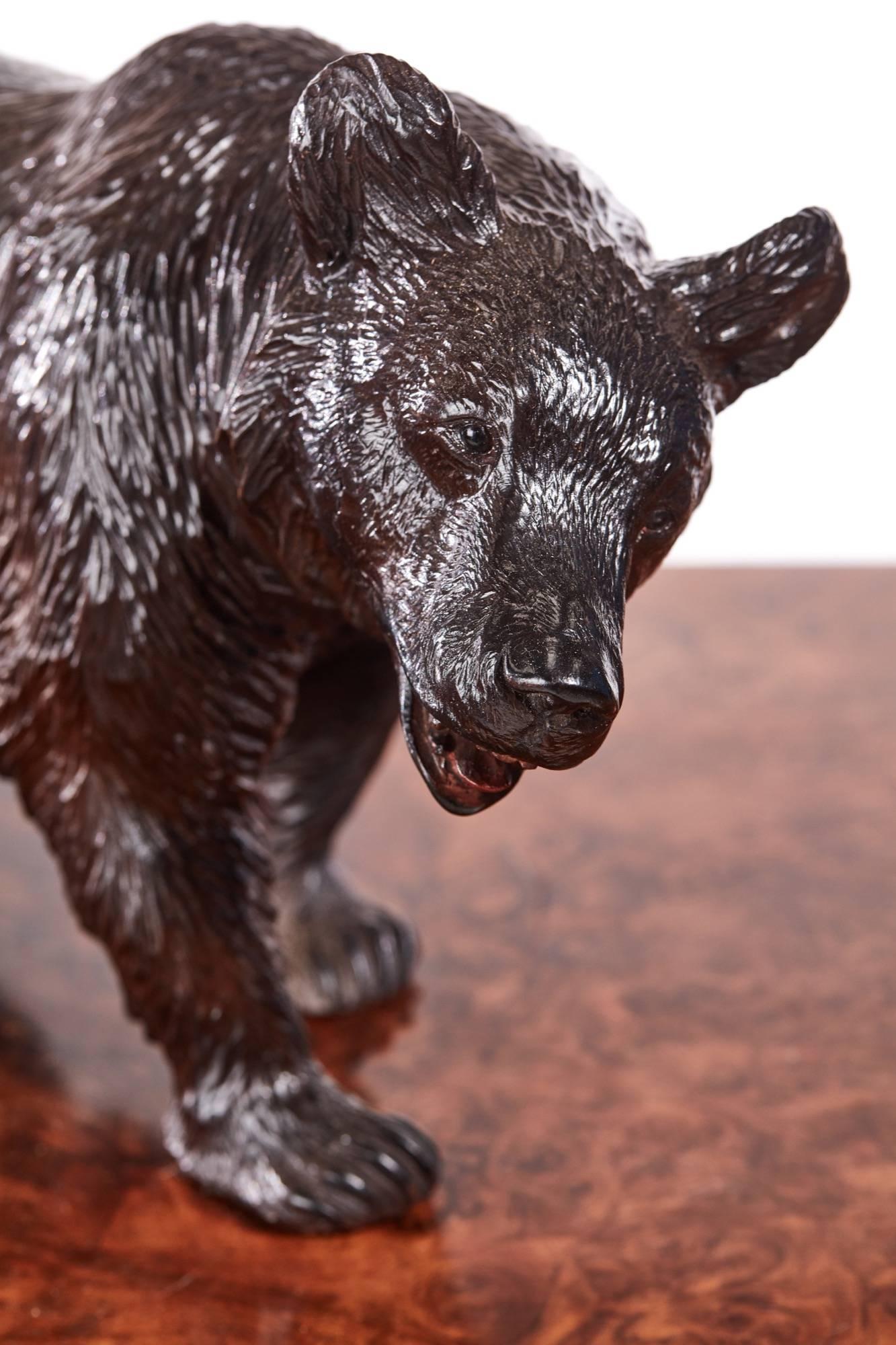 Quality antique carved Black Forest bear with original glass eyes
Fantastic original color and condition.