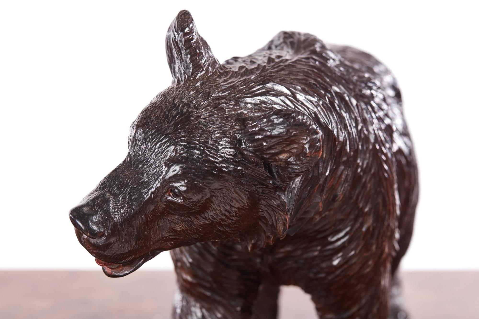 Quality Antique Carved Black Forest Bear In Excellent Condition In Stutton, GB