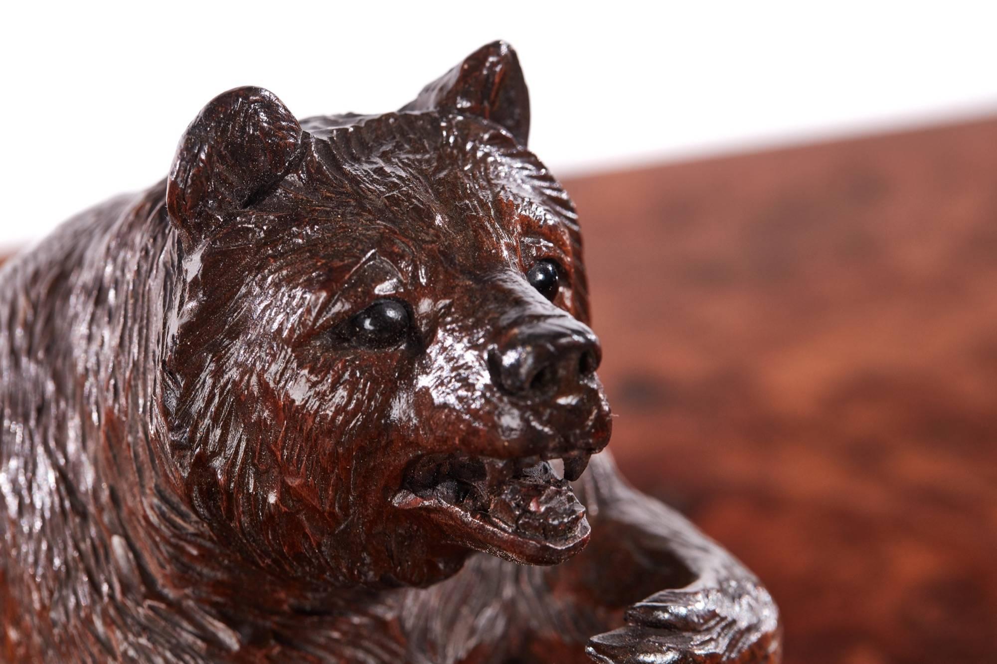 European Quality Antique Carved Black Forest Bear