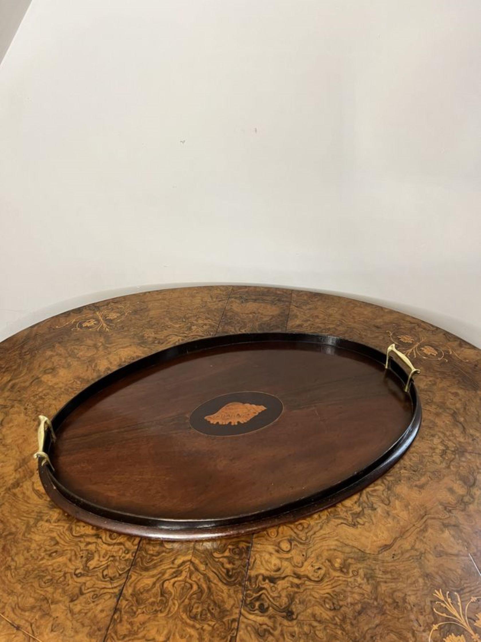 20th Century Quality antique Edwardian mahogany inlaid oval tea tray  For Sale