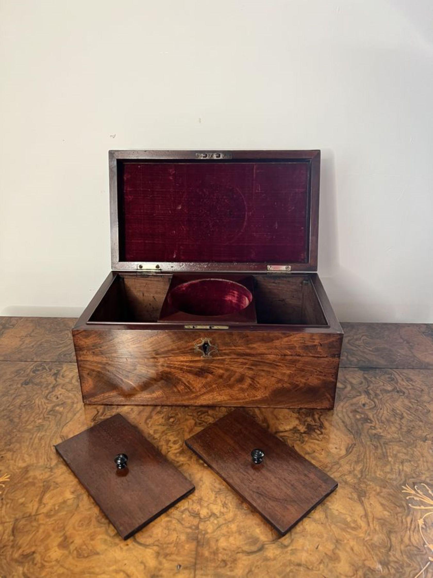 XIXe siècle Grande boîte à thé antique George III de qualité en vente