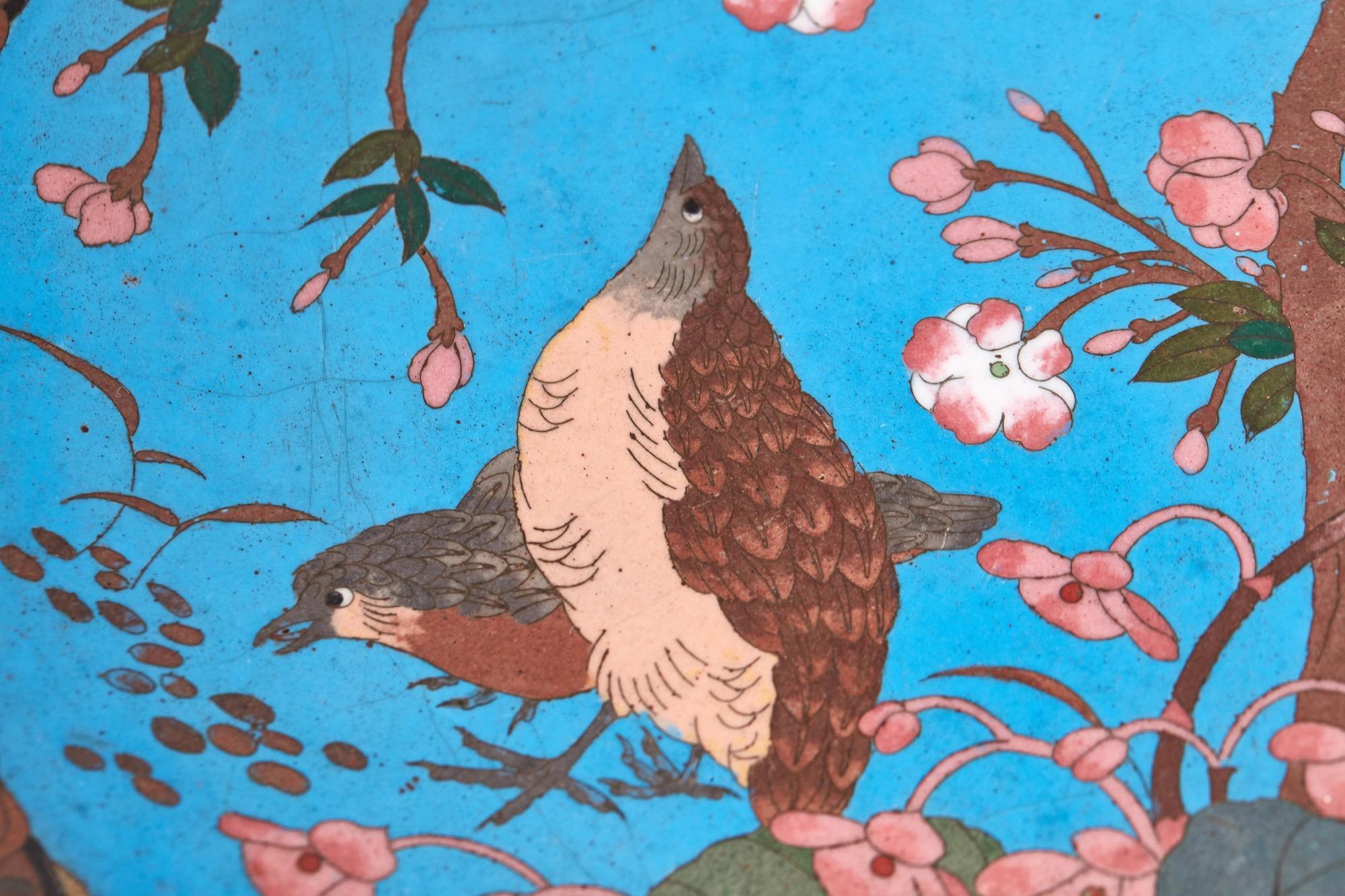 Quality antique Japanese cloisonné plate, having birds, trees and flowers on a blue back ground
Perfect condition
Measures: 12