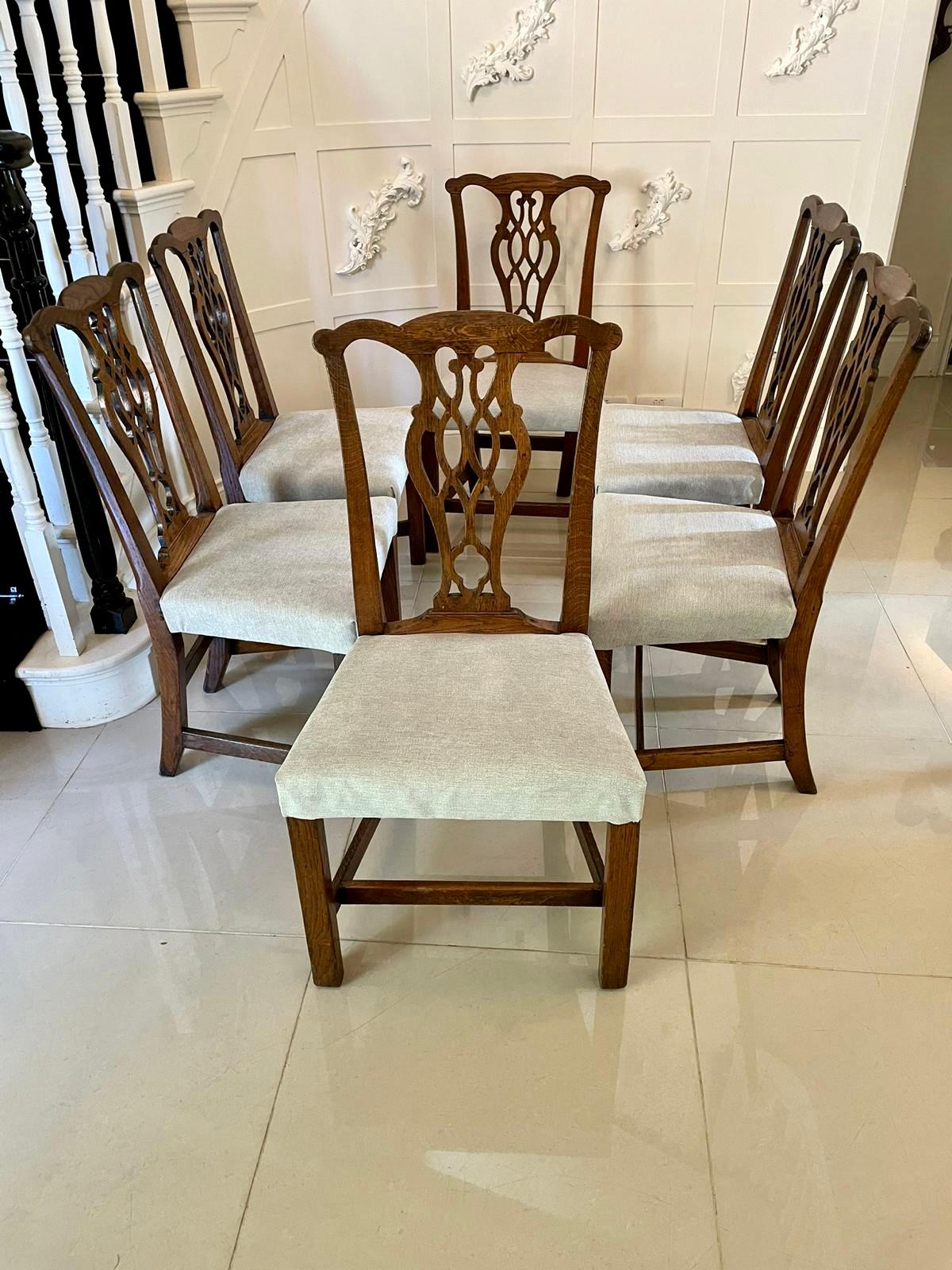 Quality Antique Oak Set of Six George III Chippendale Dining Chairs 1