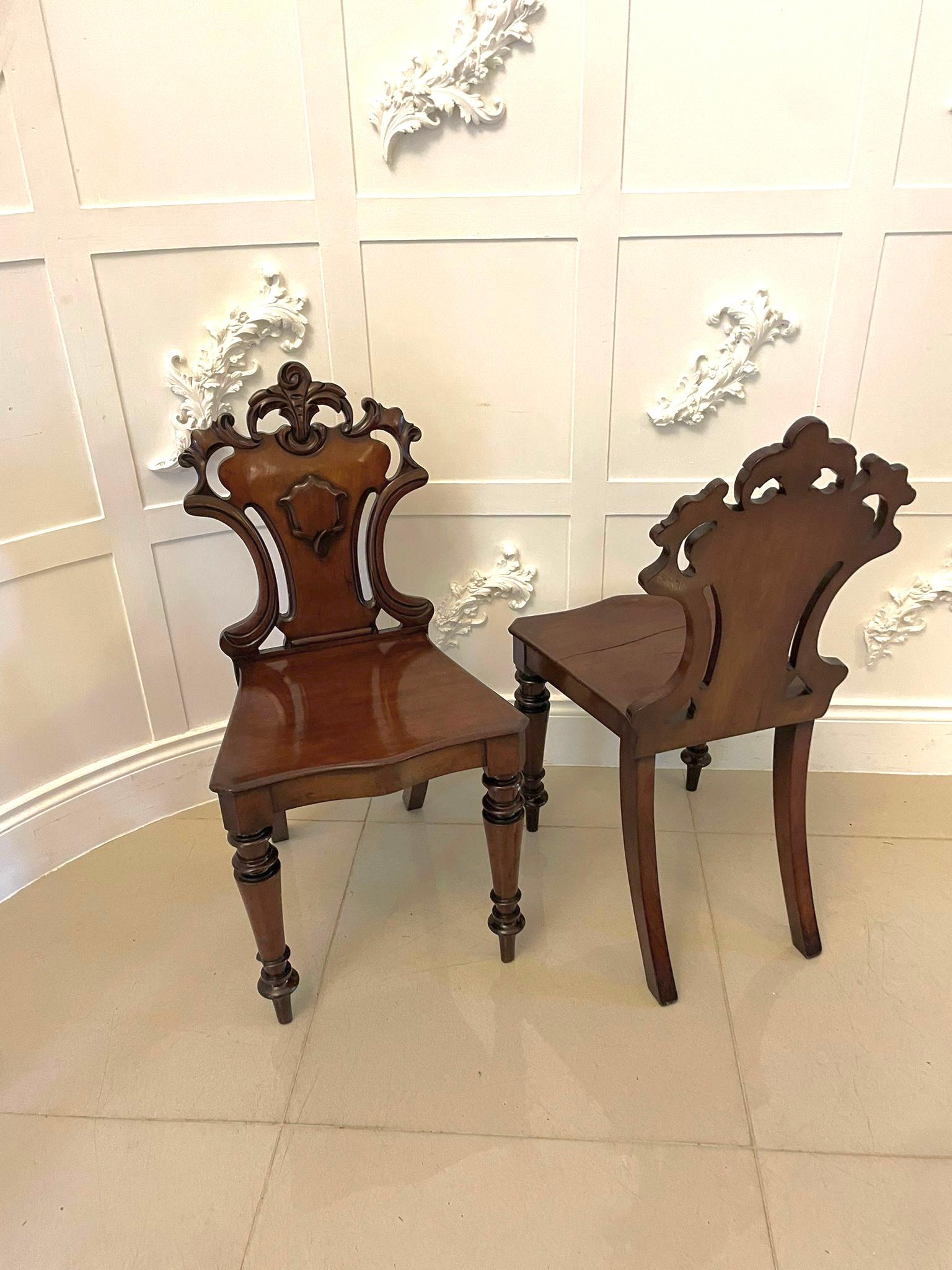 Quality antique pair of William IV mahogany hall chairs having beautifully carved solid mahogany shaped backs with a shield to the centre, solid mahogany seats and elegant shaped turned legs to the front and out swept back legs.

A quaint pair