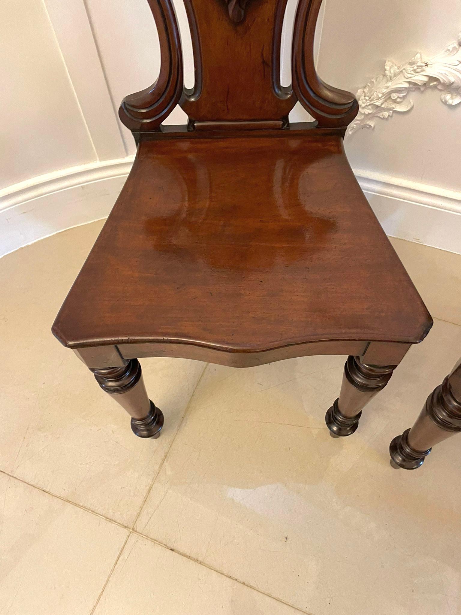Quality Antique Pair of William IV Mahogany Hall Chairs 2