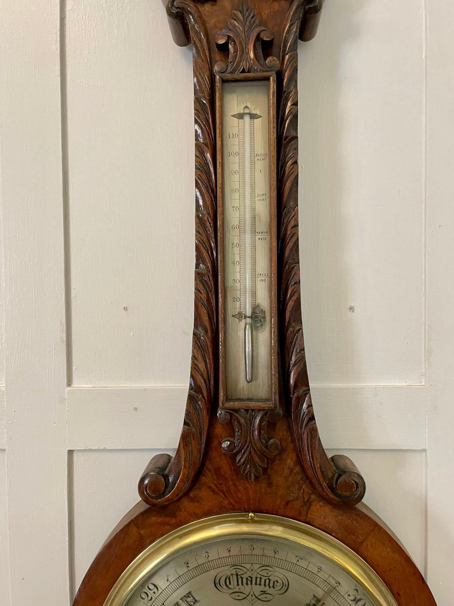 Noyer Baromètre Banjo victorien ancien en ronce de noyer sculpté de qualité supérieure en vente