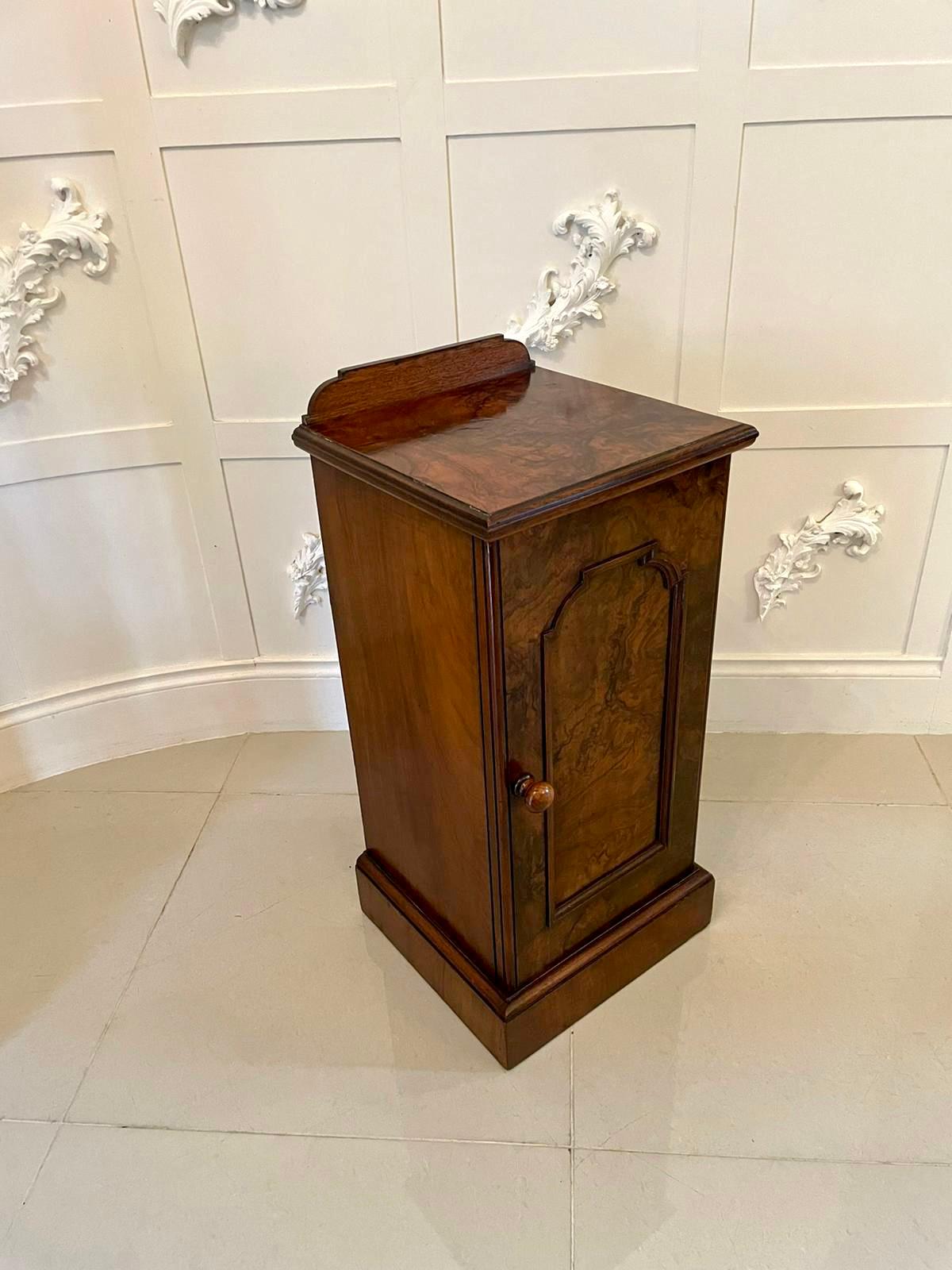 English Quality Antique Victorian Burr Walnut Bedside Cabinet/Nightstand