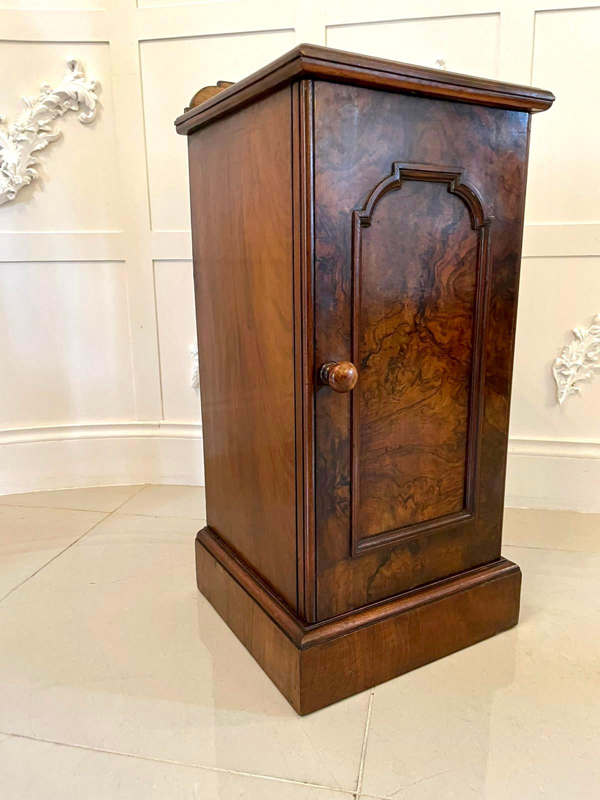 19th Century Quality Antique Victorian Burr Walnut Bedside Cabinet/Nightstand