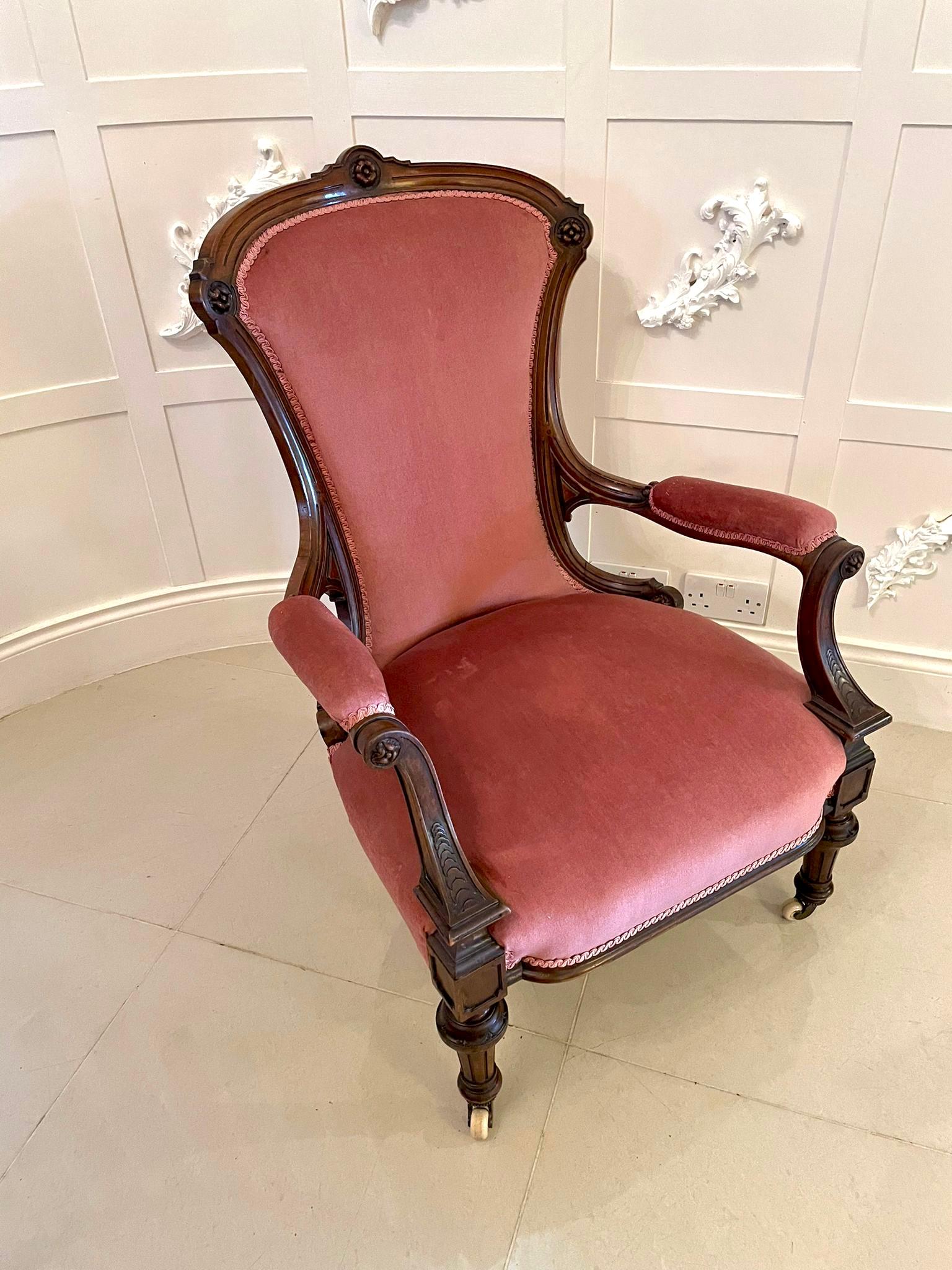 Quality antique Victorian walnut armchair having a quality solid walnut shaped back and raised on solid elegant walnut turned reeded legs to the front and out swept back legs on original porcelain castors. Upholstered in a pink fabric. 

A classic