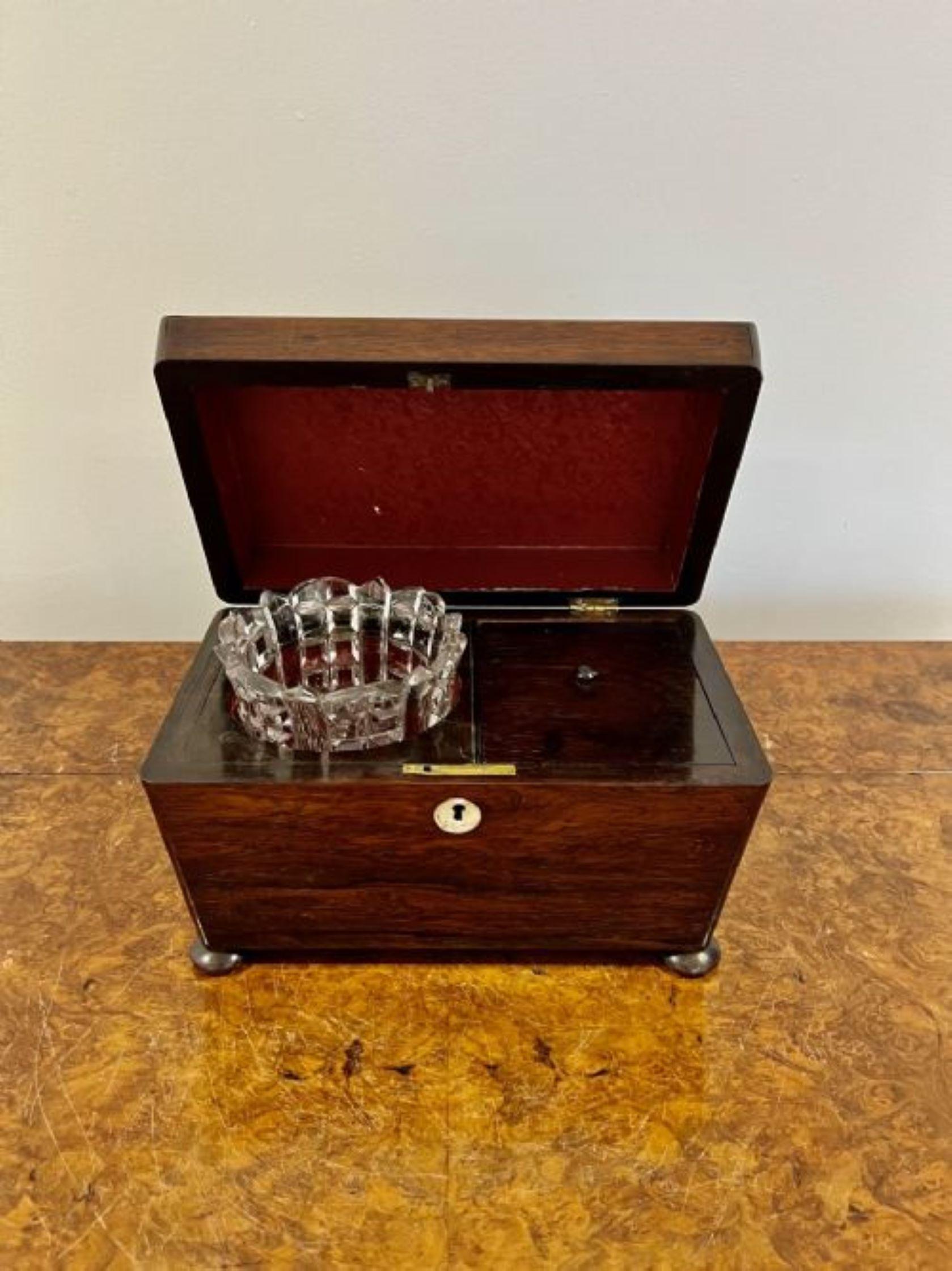Quality Antique Willian IV Rosewood Tea Caddy In Good Condition For Sale In Ipswich, GB