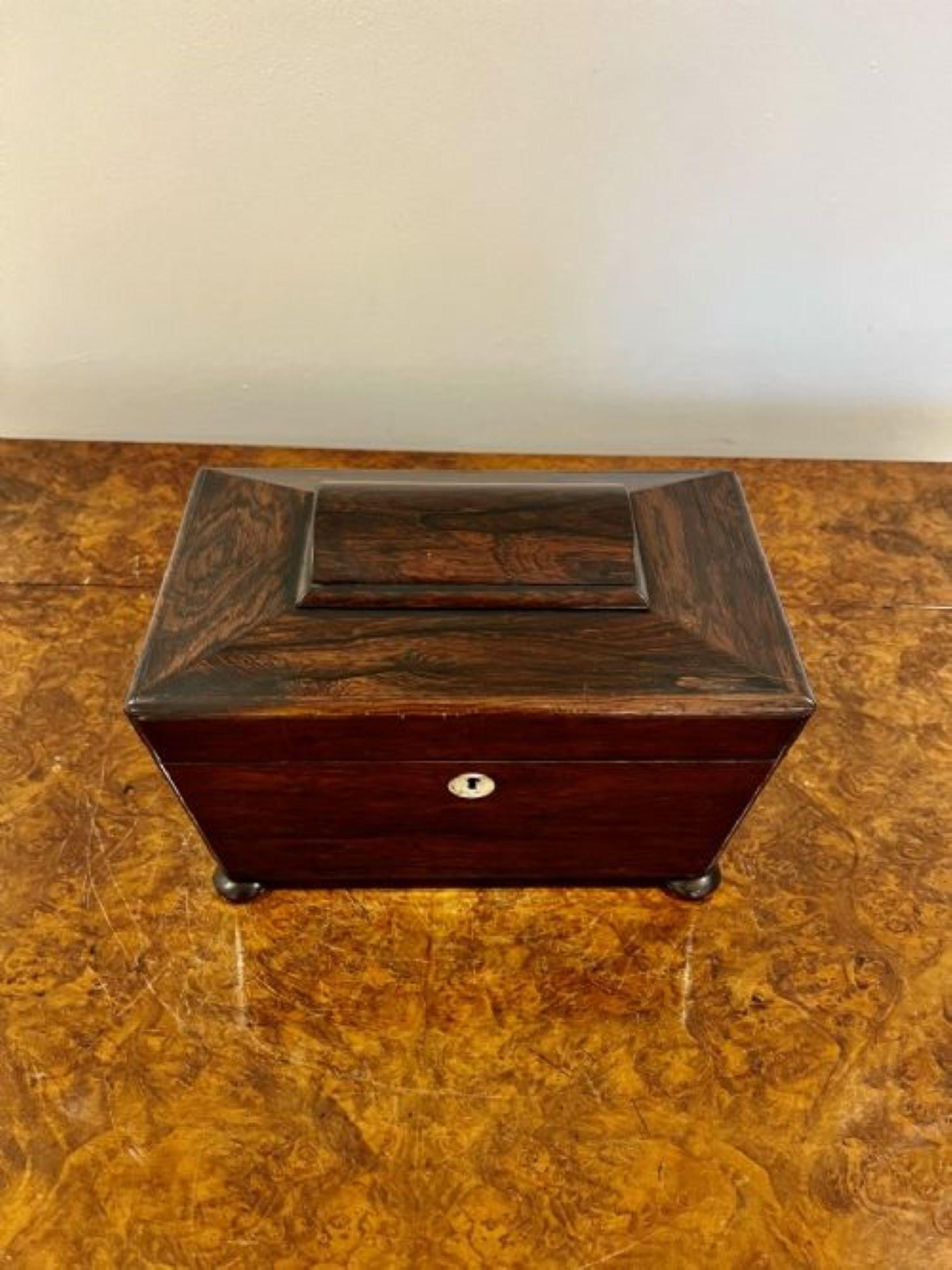 19th Century Quality Antique Willian IV Rosewood Tea Caddy For Sale