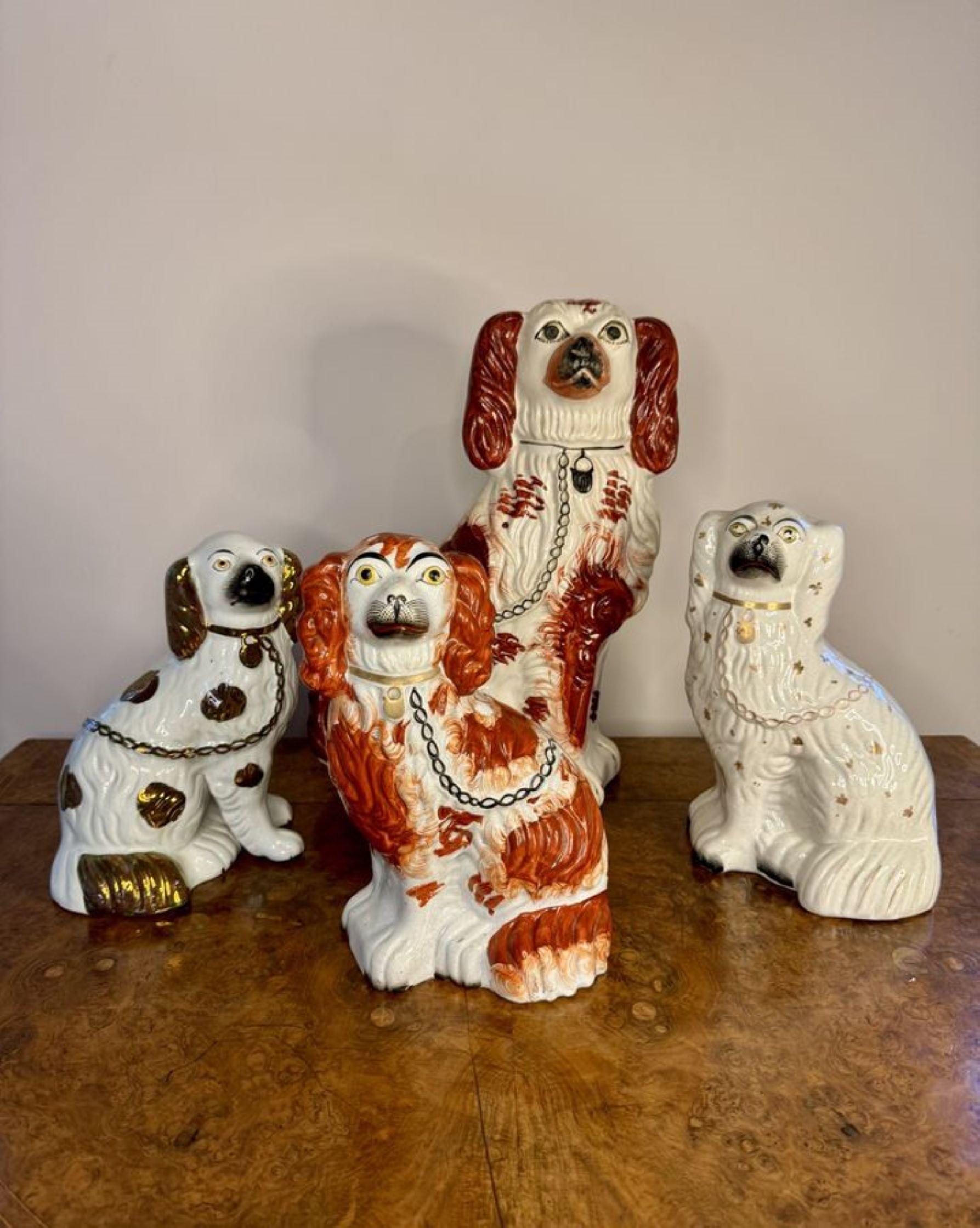 Quality collection of four antique quality hand painted Staffordshire dogs, having four quality Staffordshire dogs seated in wonderful black, red, brown & white colours wearing collars and padlocks. 

D. 1860