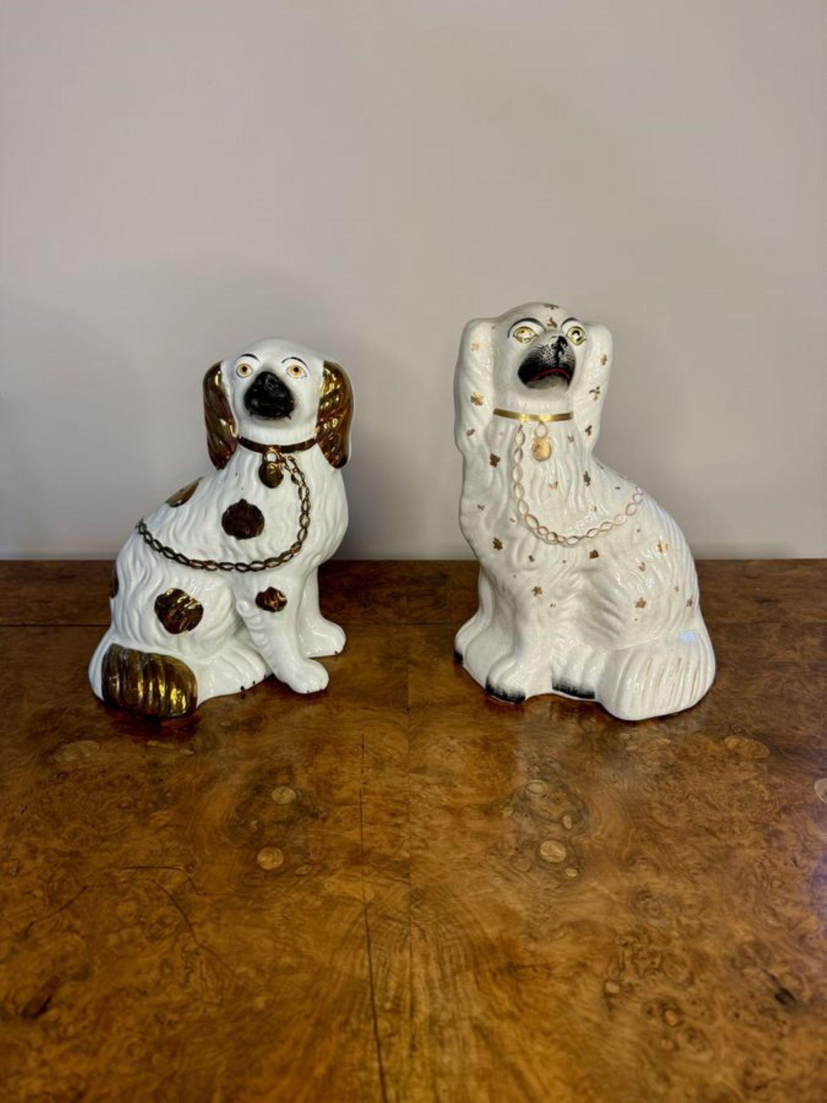 Quality collection of four antique Staffordshire dogs In Good Condition In Ipswich, GB