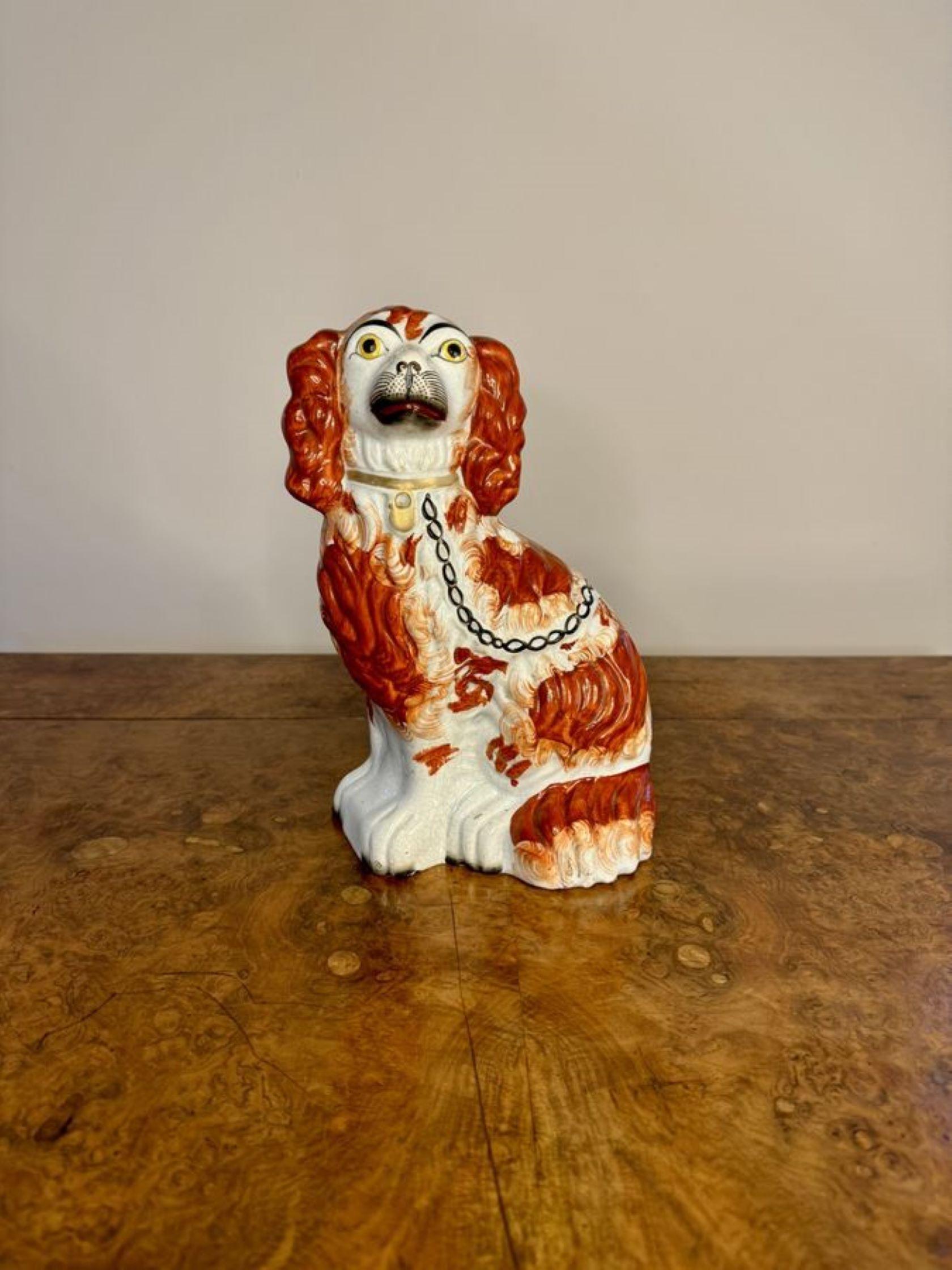 19th Century Quality collection of four antique Staffordshire dogs