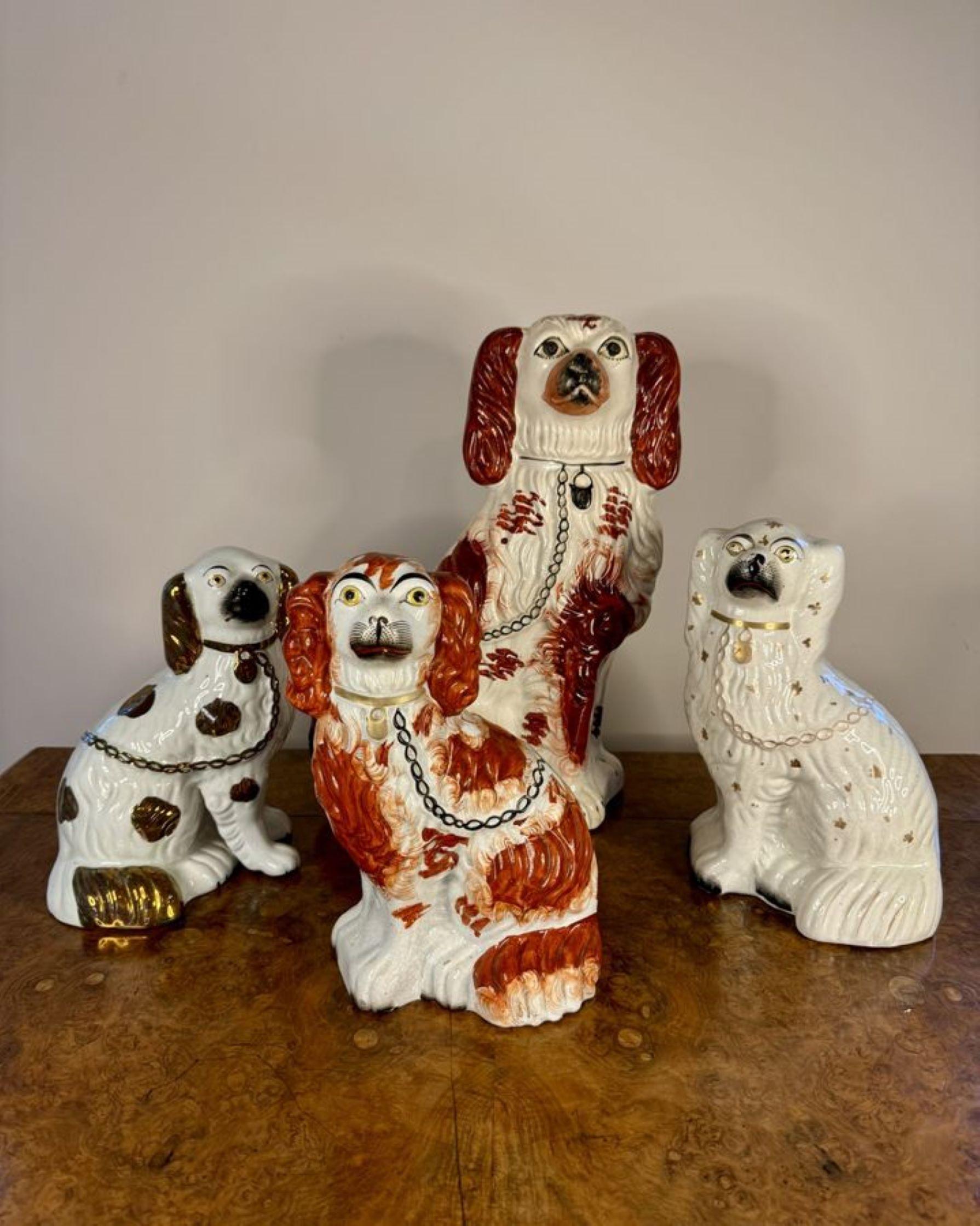 Quality collection of four antique Staffordshire dogs 1