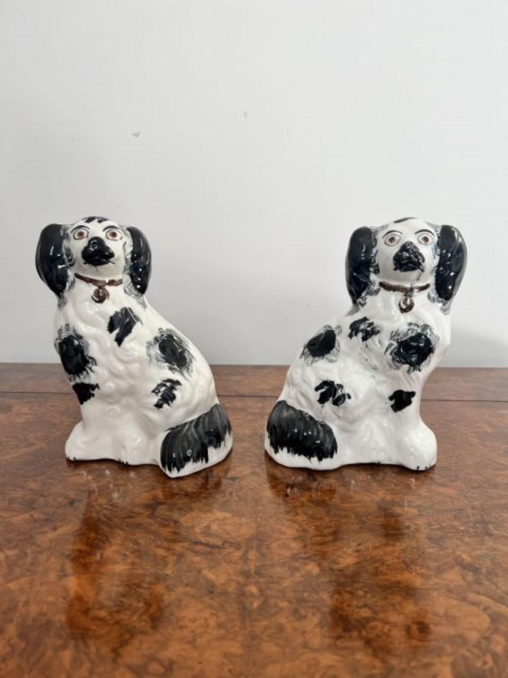 19th Century Quality pair of antique Victorian miniature Staffordshire dogs  For Sale
