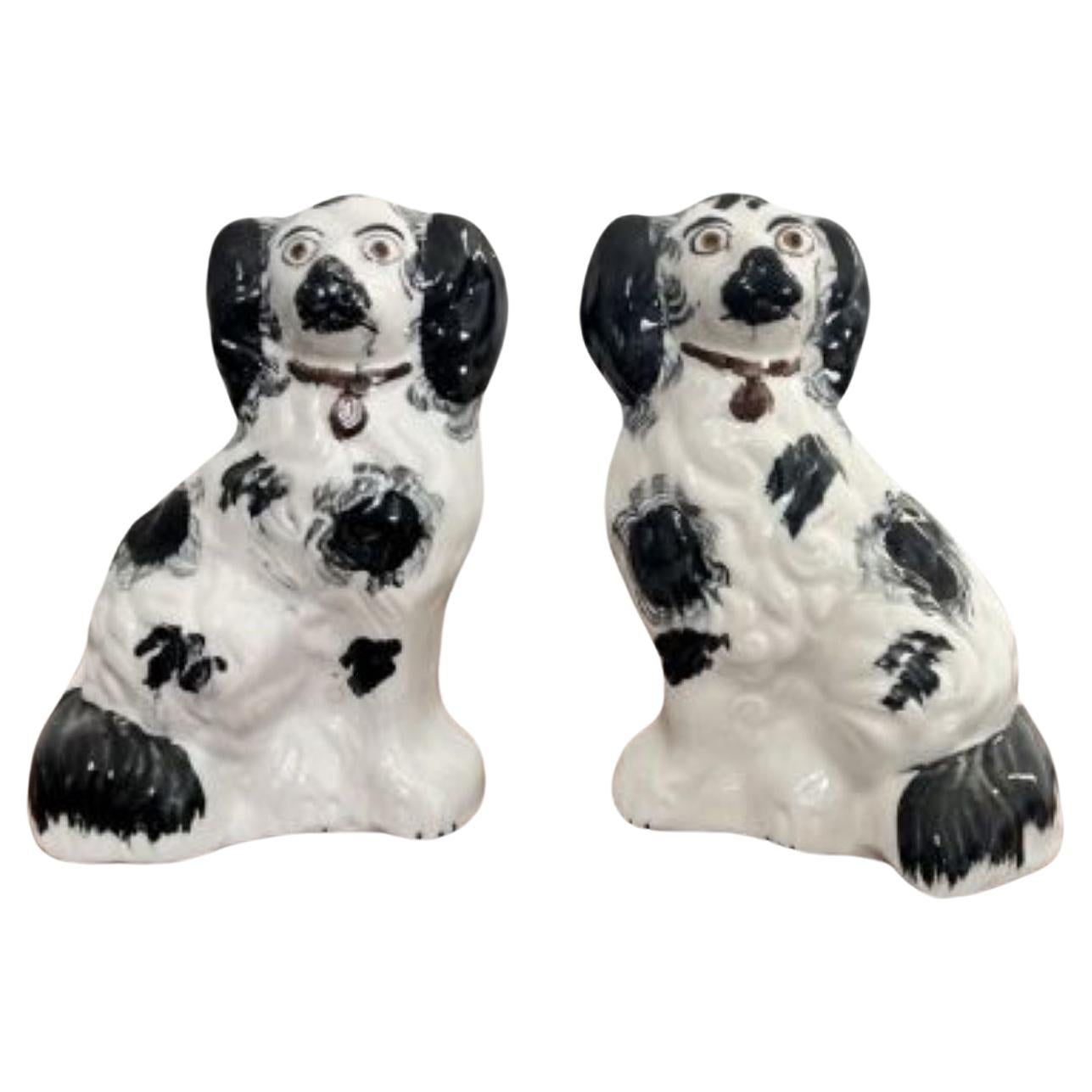 Hochwertiges Paar antiker viktorianischer Miniatur Staffordshire Hunde 