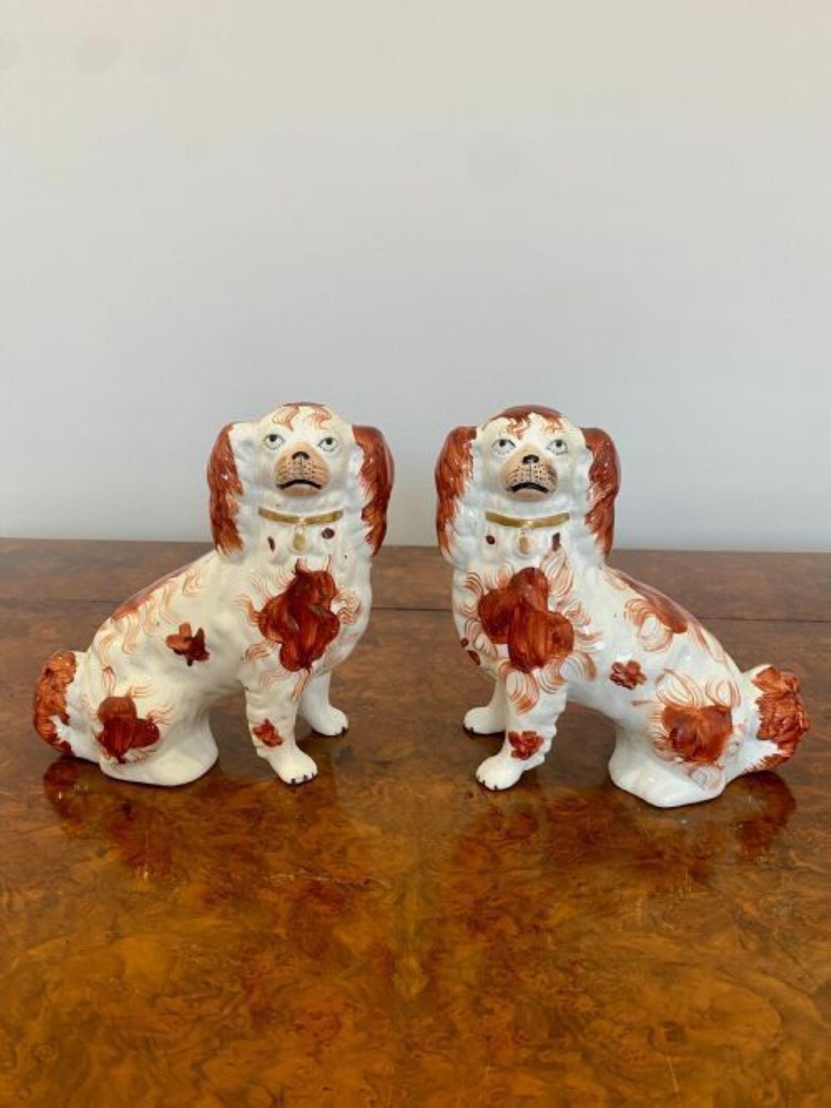 Qualitativ hochwertiges Paar antiker viktorianischer sitzender Spaniels, mit passenden Mänteln und Vorhängeschlössern, handbemalt in wunderschönen roten und weißen Farben. 