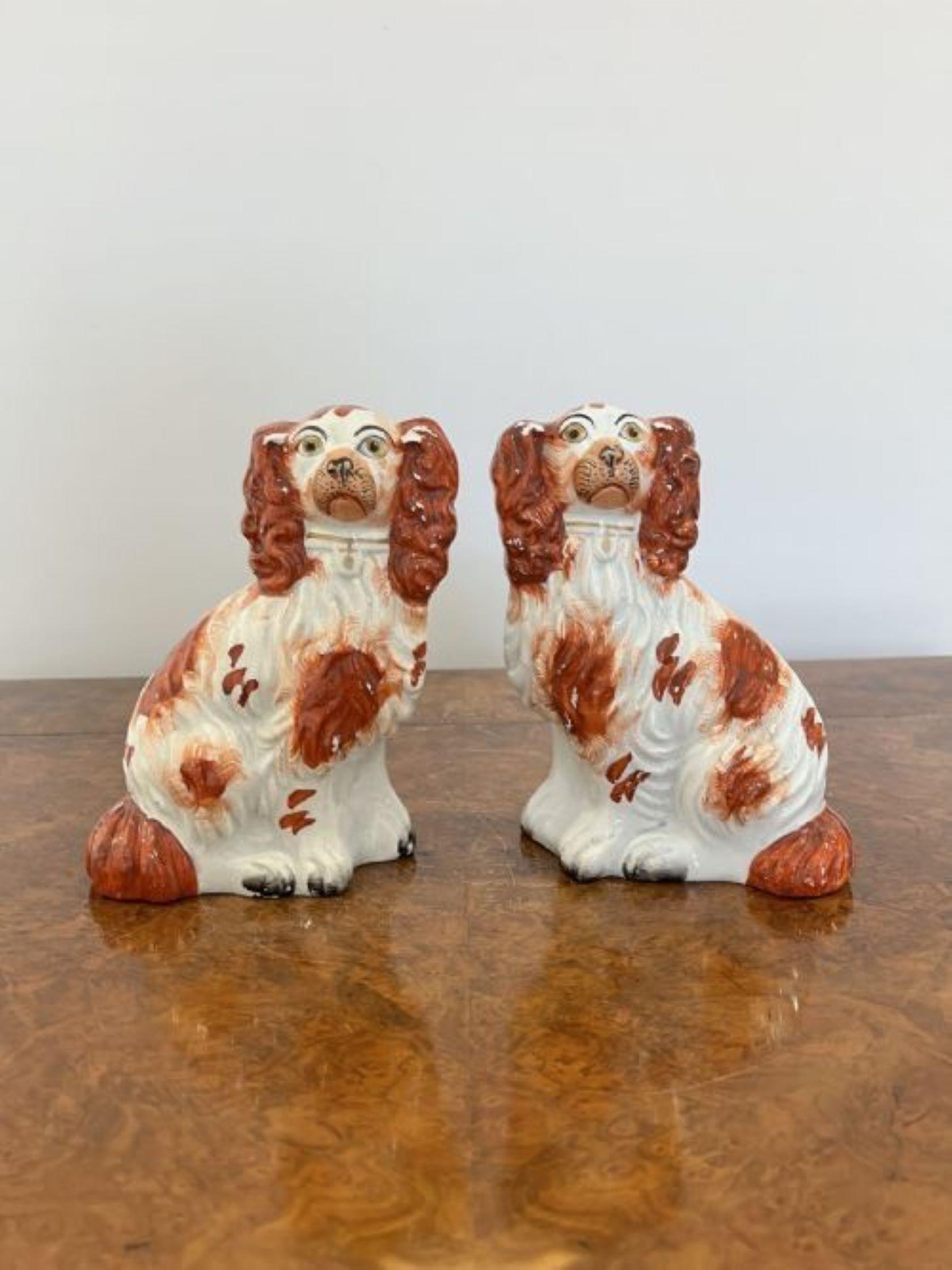 Quality pair of antique Victorian seated spaniels In Good Condition For Sale In Ipswich, GB