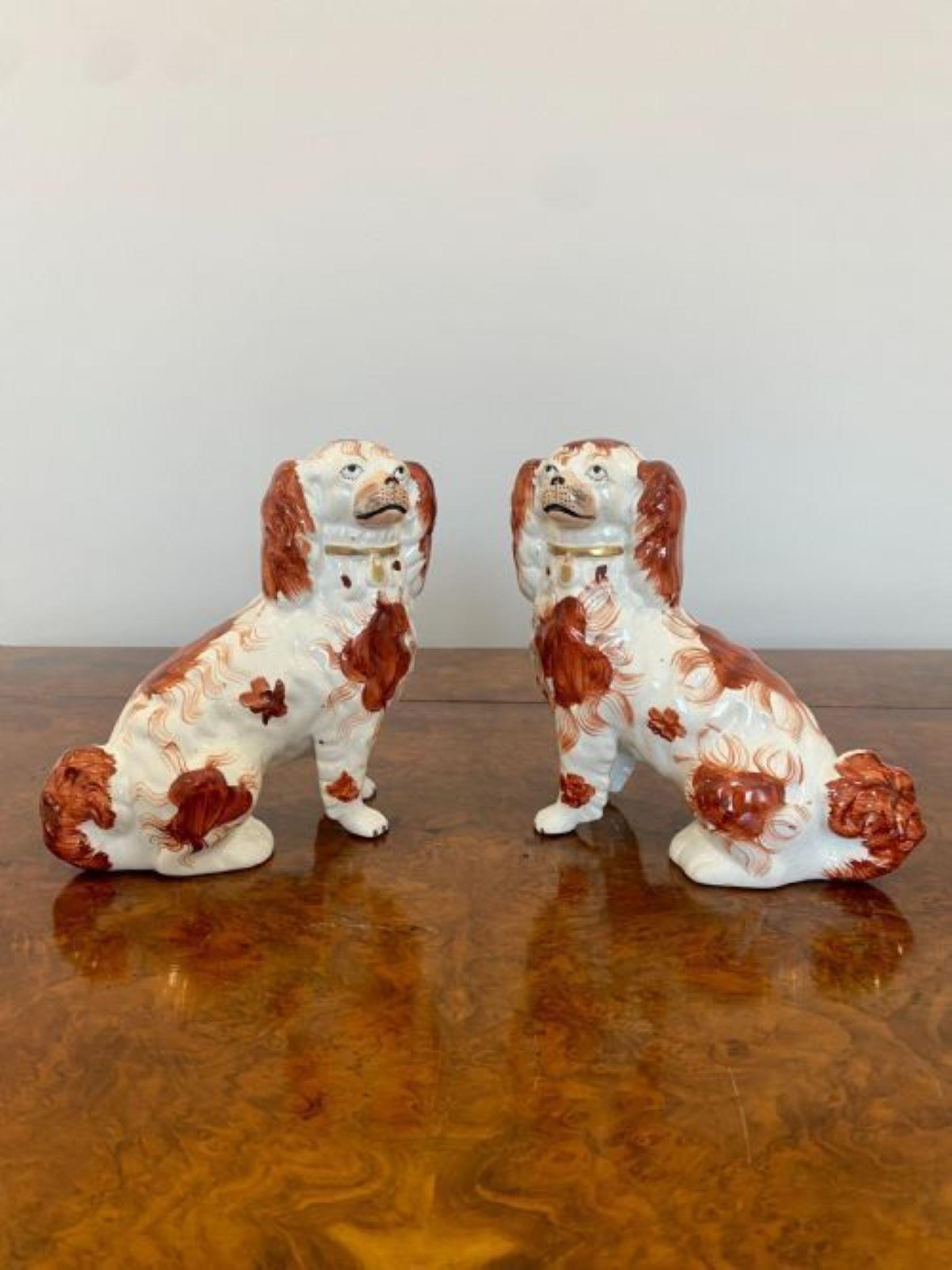 Quality Pair Of Antique Victorian Seated Spaniels In Good Condition For Sale In Ipswich, GB