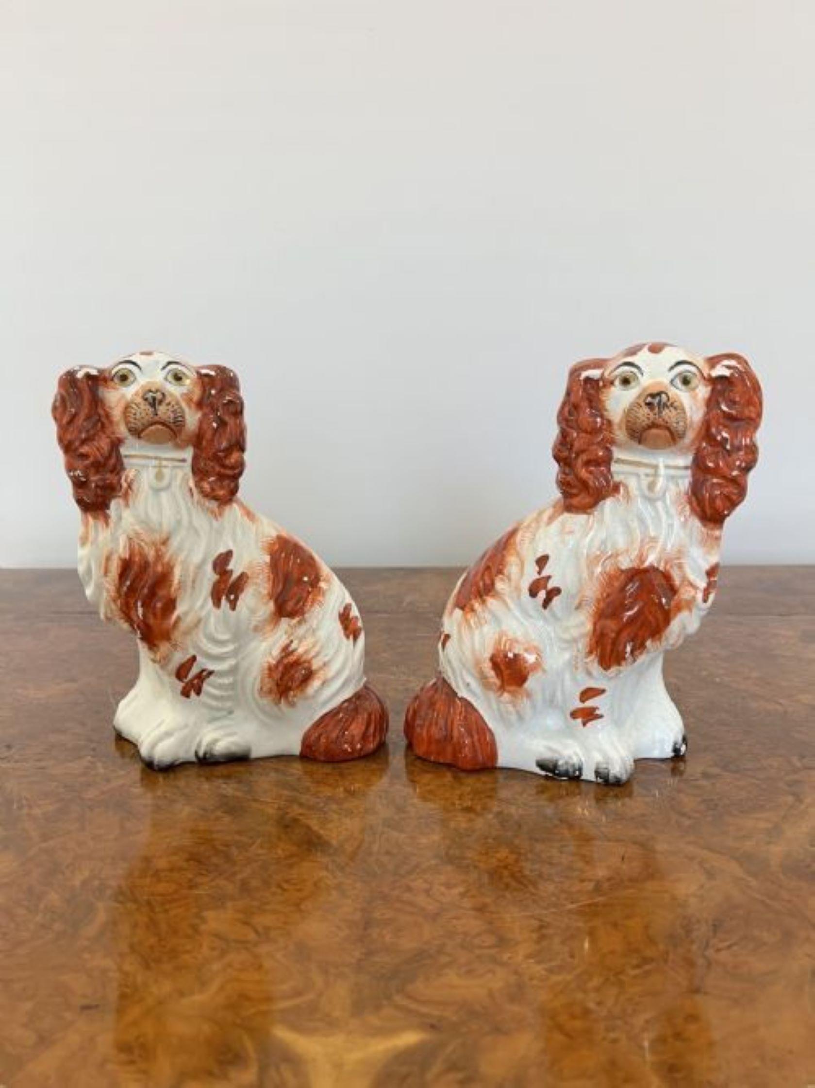 19th Century Quality pair of antique Victorian seated spaniels For Sale