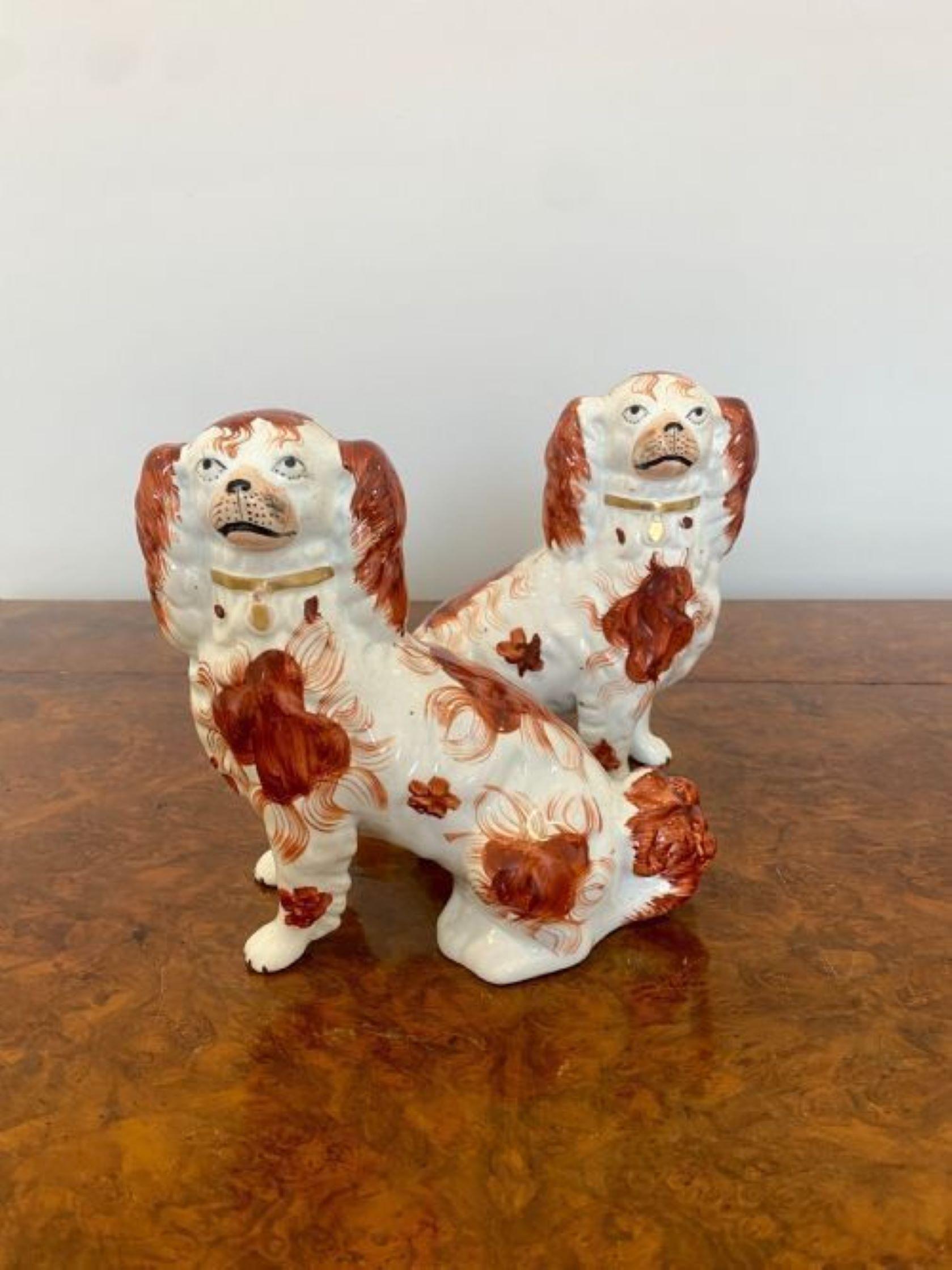 Paar antike viktorianische sitzende Spaniels in Qualität im Zustand „Gut“ im Angebot in Ipswich, GB