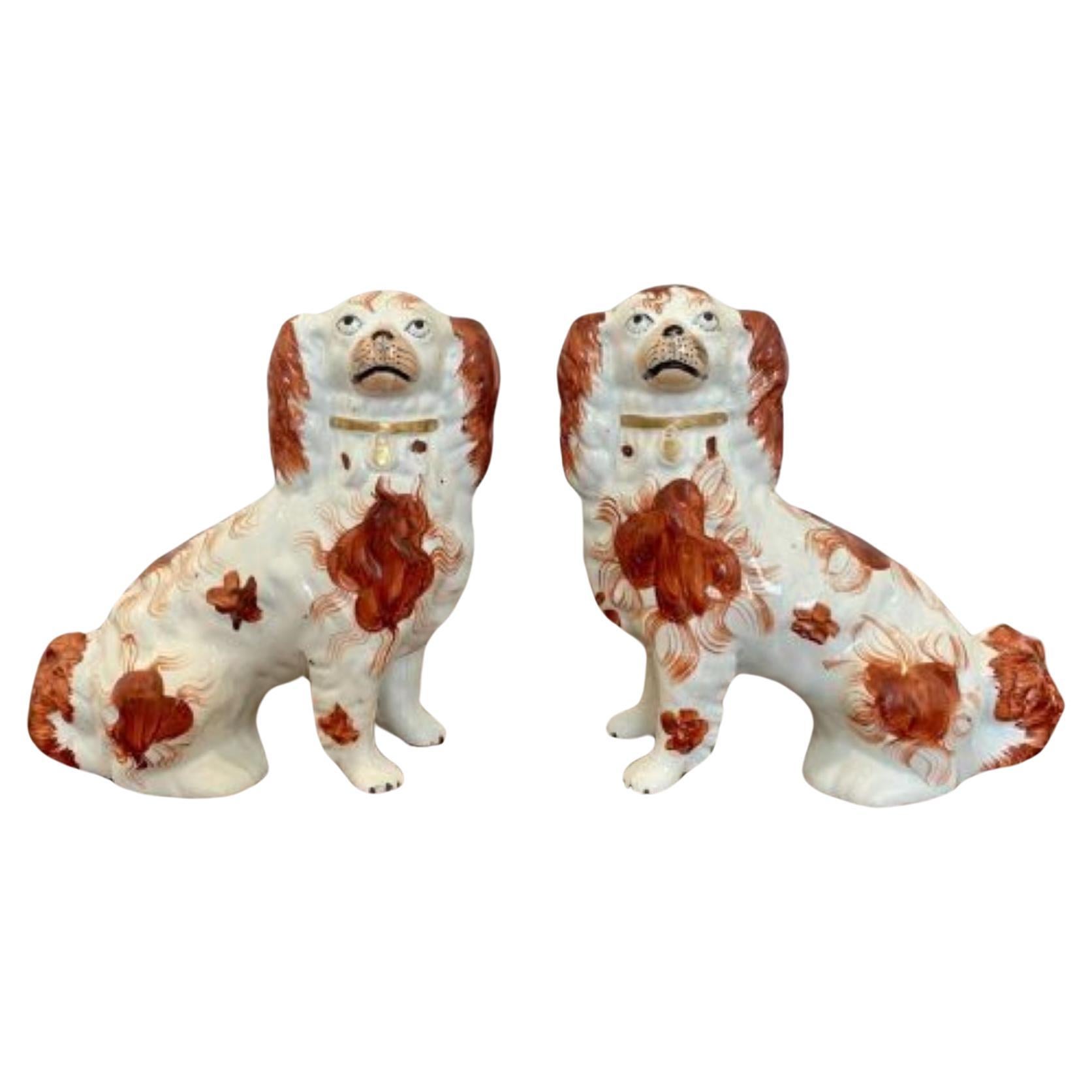 Quality Pair Of Antique Victorian Seated Spaniels