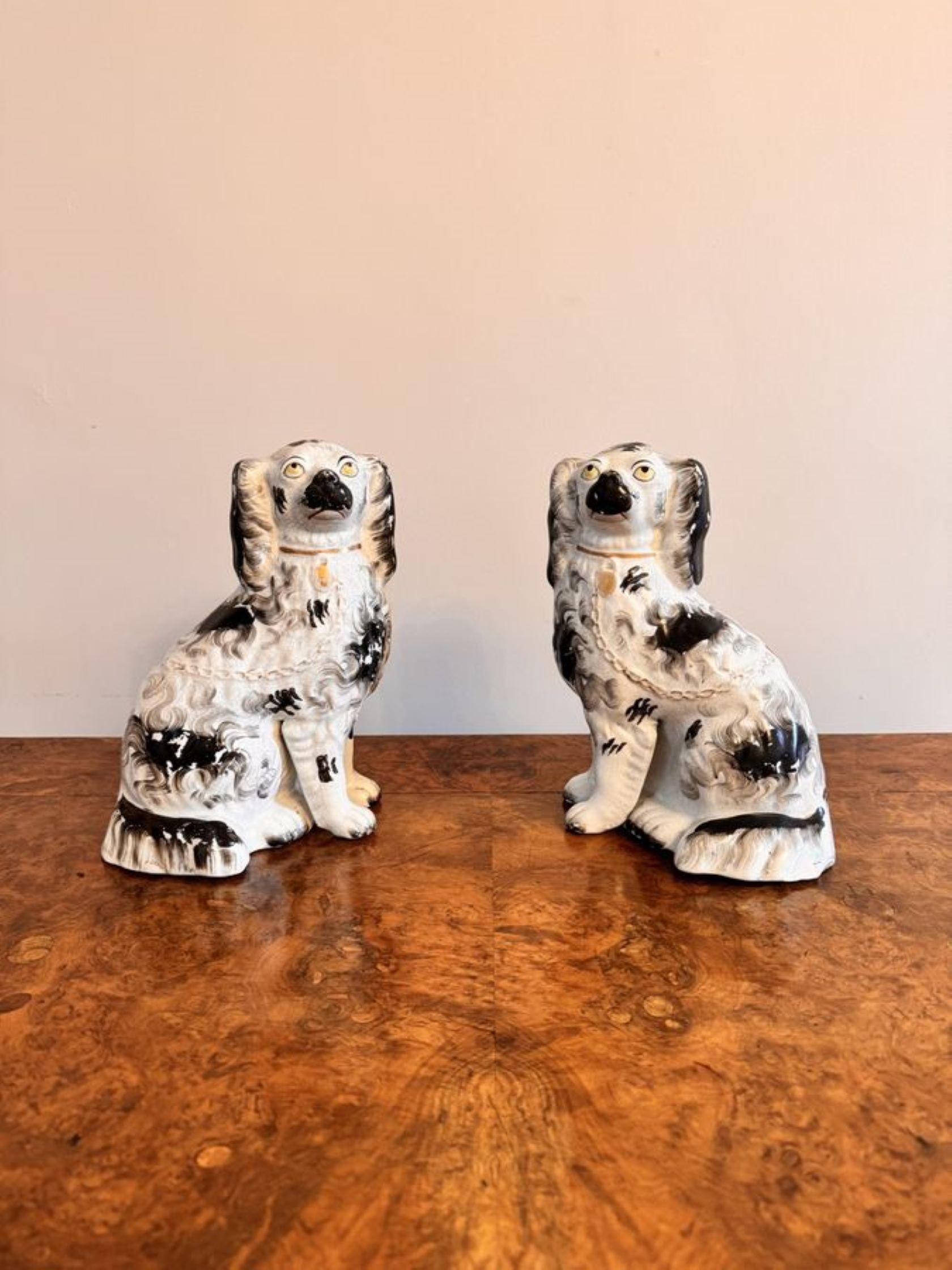 Early Victorian Quality pair of antique Victorian seated Staffordshire dogs For Sale