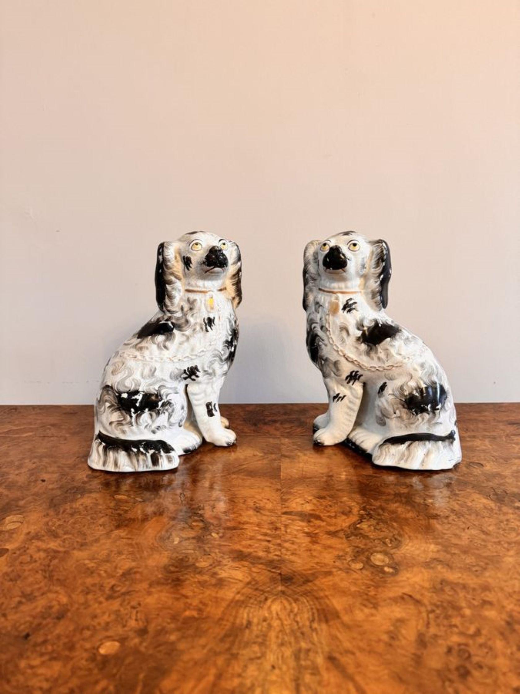 19th Century Quality pair of antique Victorian seated Staffordshire dogs For Sale