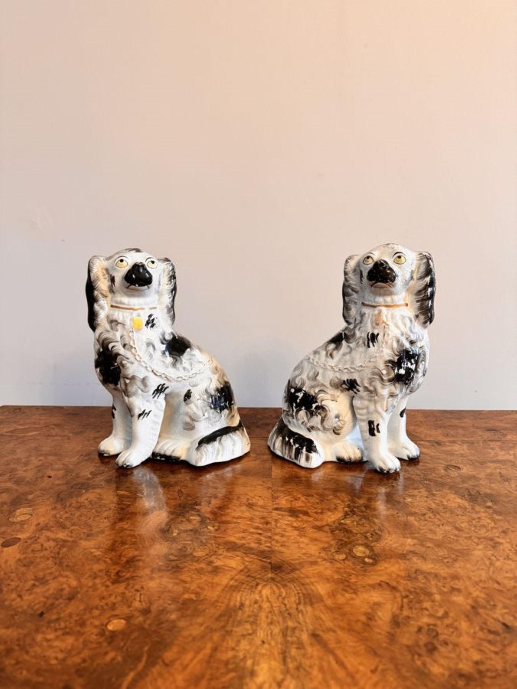 Quality pair of antique Victorian seated Staffordshire dogs For Sale 1