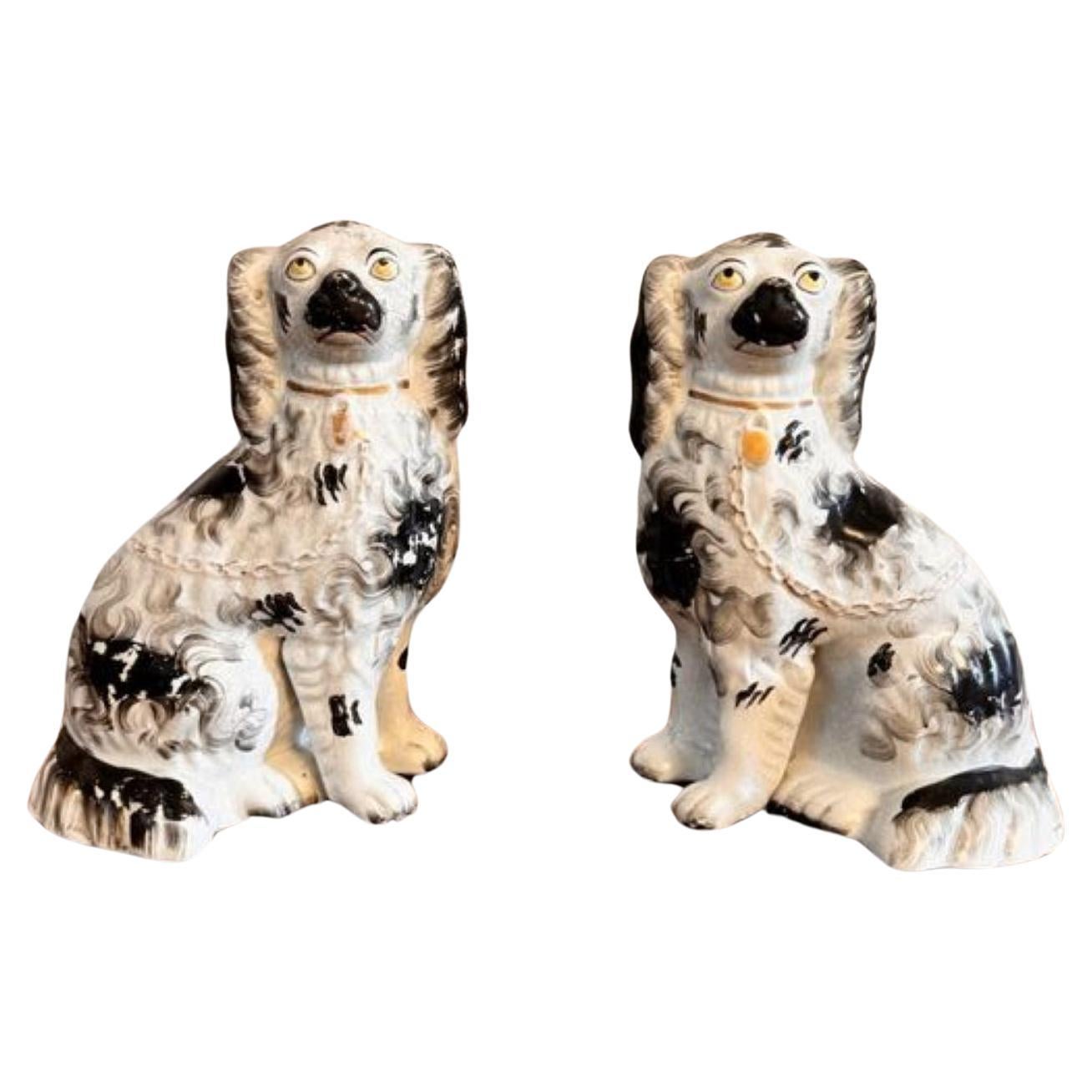 Quality pair of antique Victorian seated Staffordshire dogs For Sale
